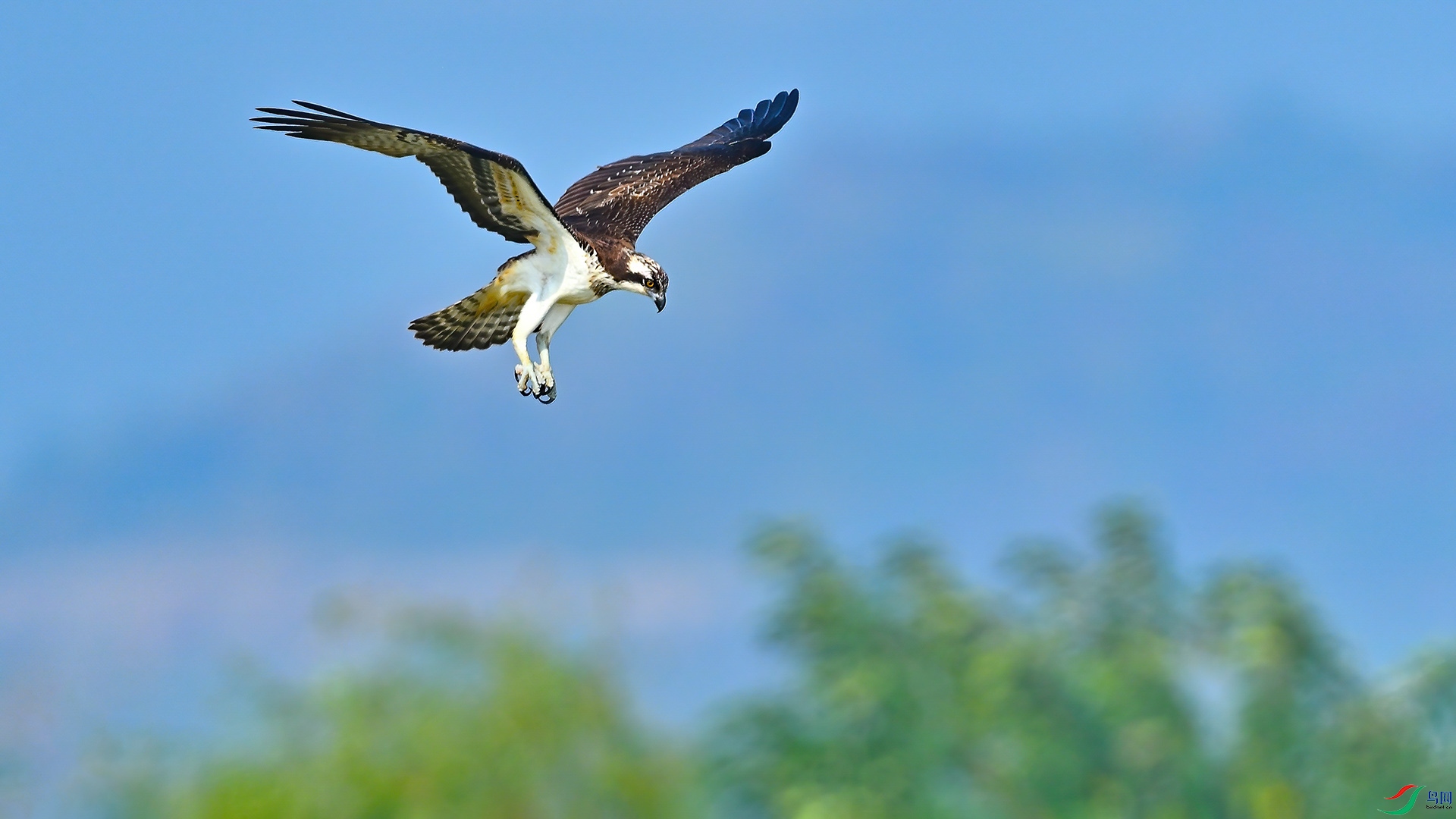 XHH_7066 ���� 3.jpg