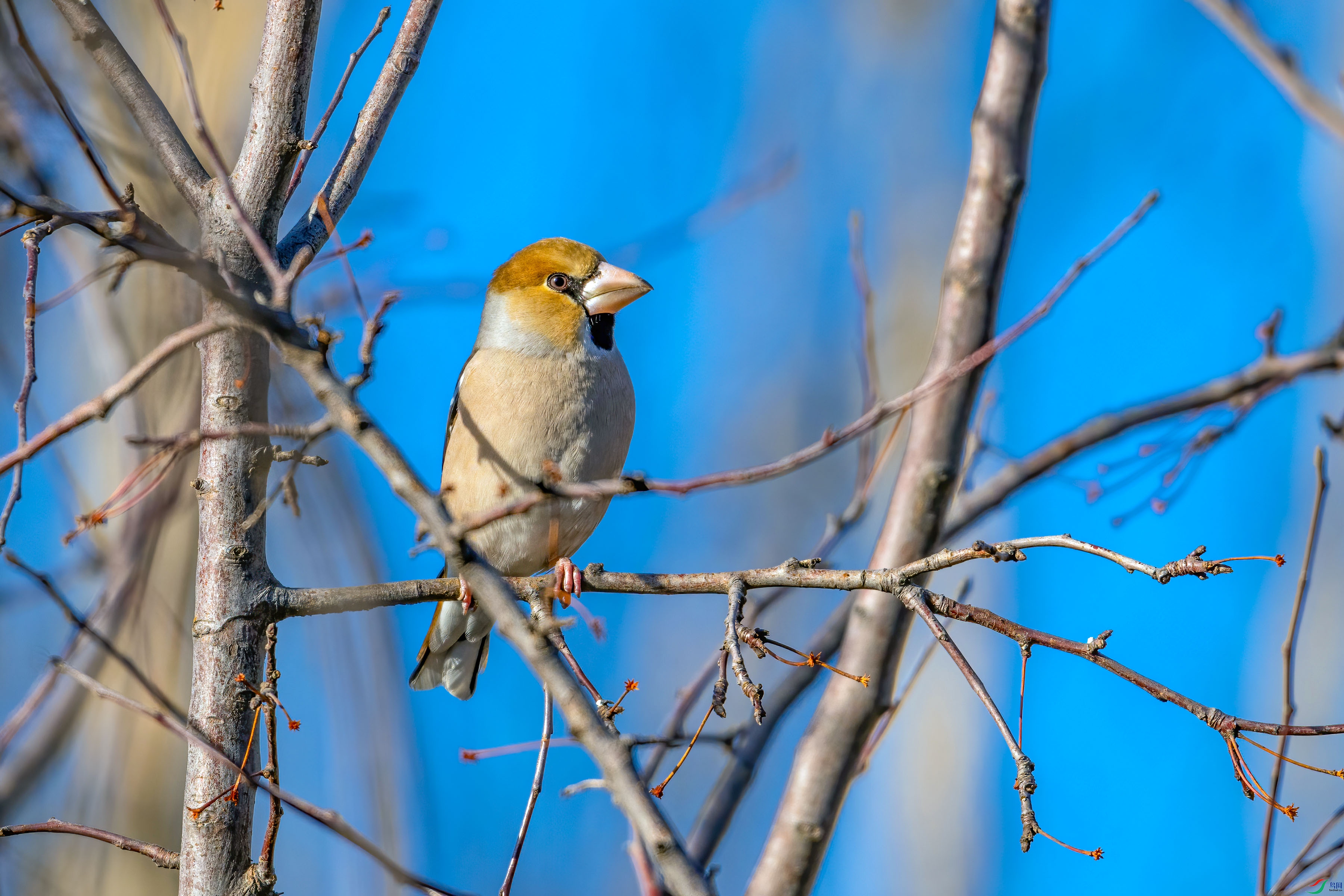 DSC_6720 ���� 2.jpg