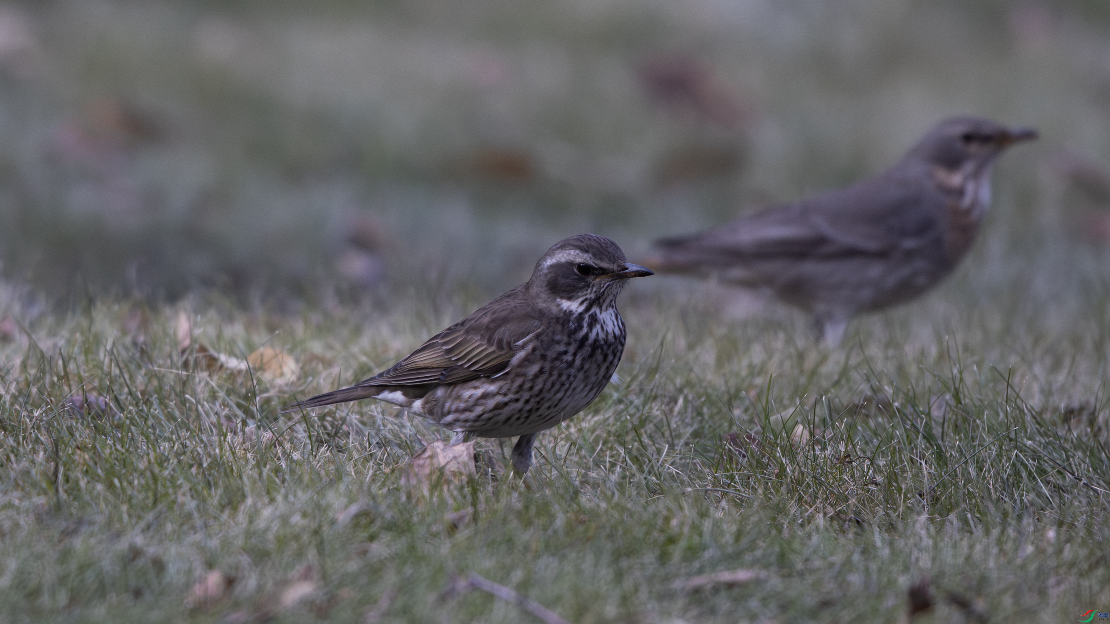 _O7A8344 ����.jpg