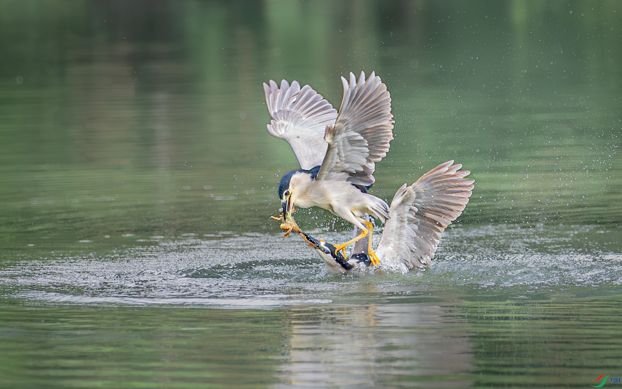 063A1793-29 ����.jpg