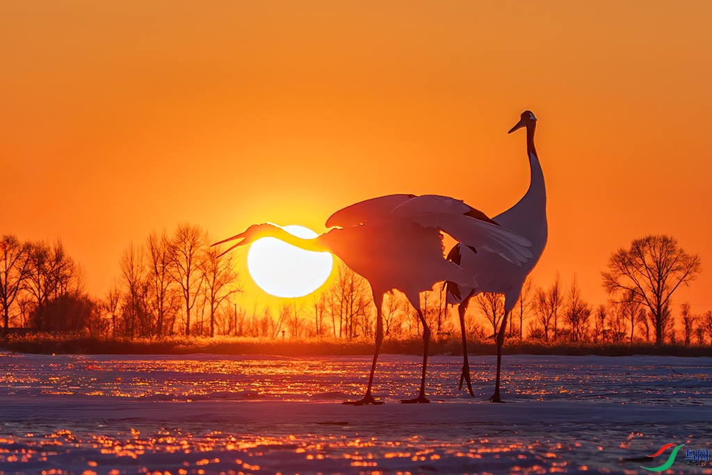 hljzlR231210 (770).jpg