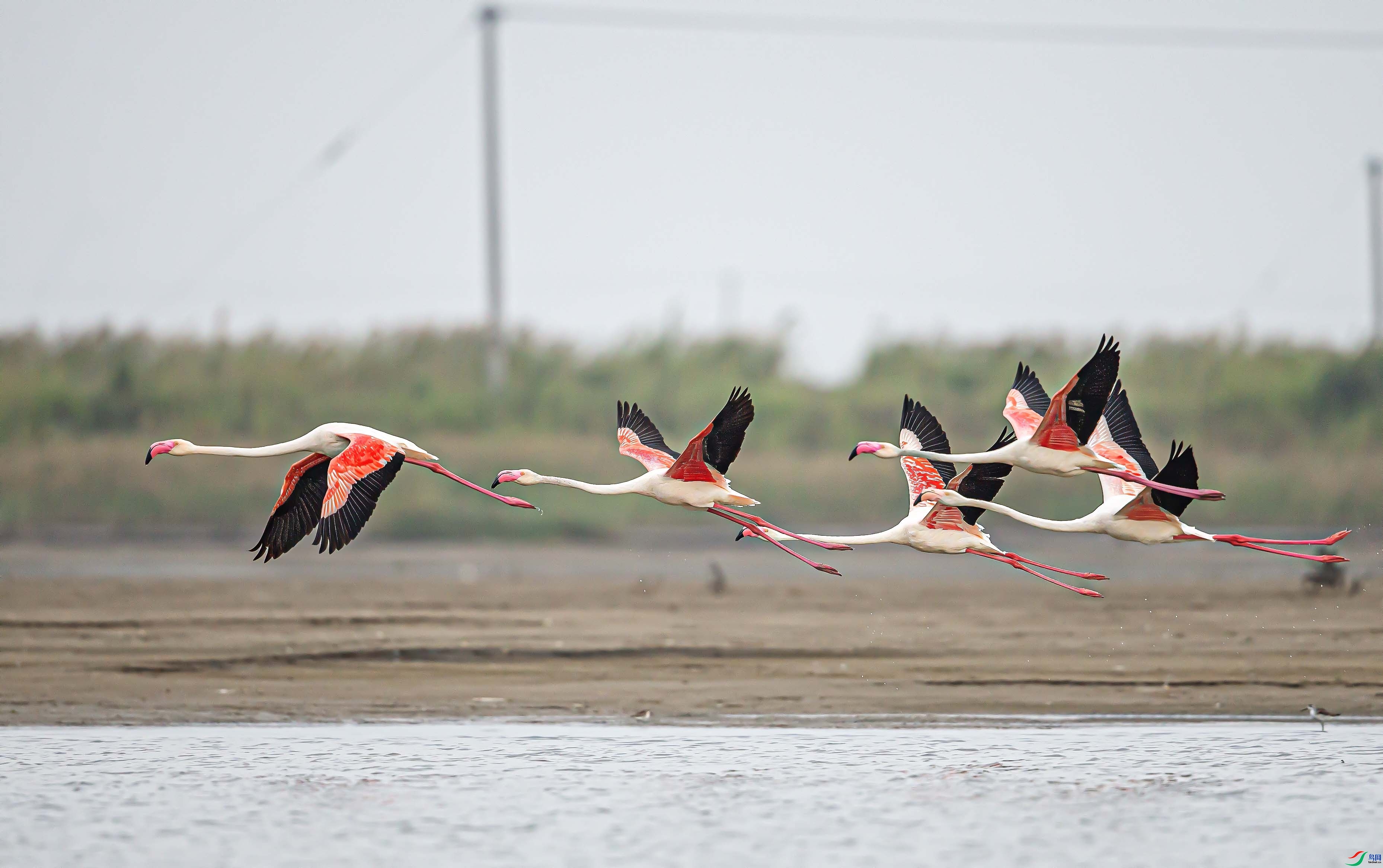 11.29��0529��ʦ��Ʒ   �������� ��ף���ٻ���Ӱʦ������.jpg