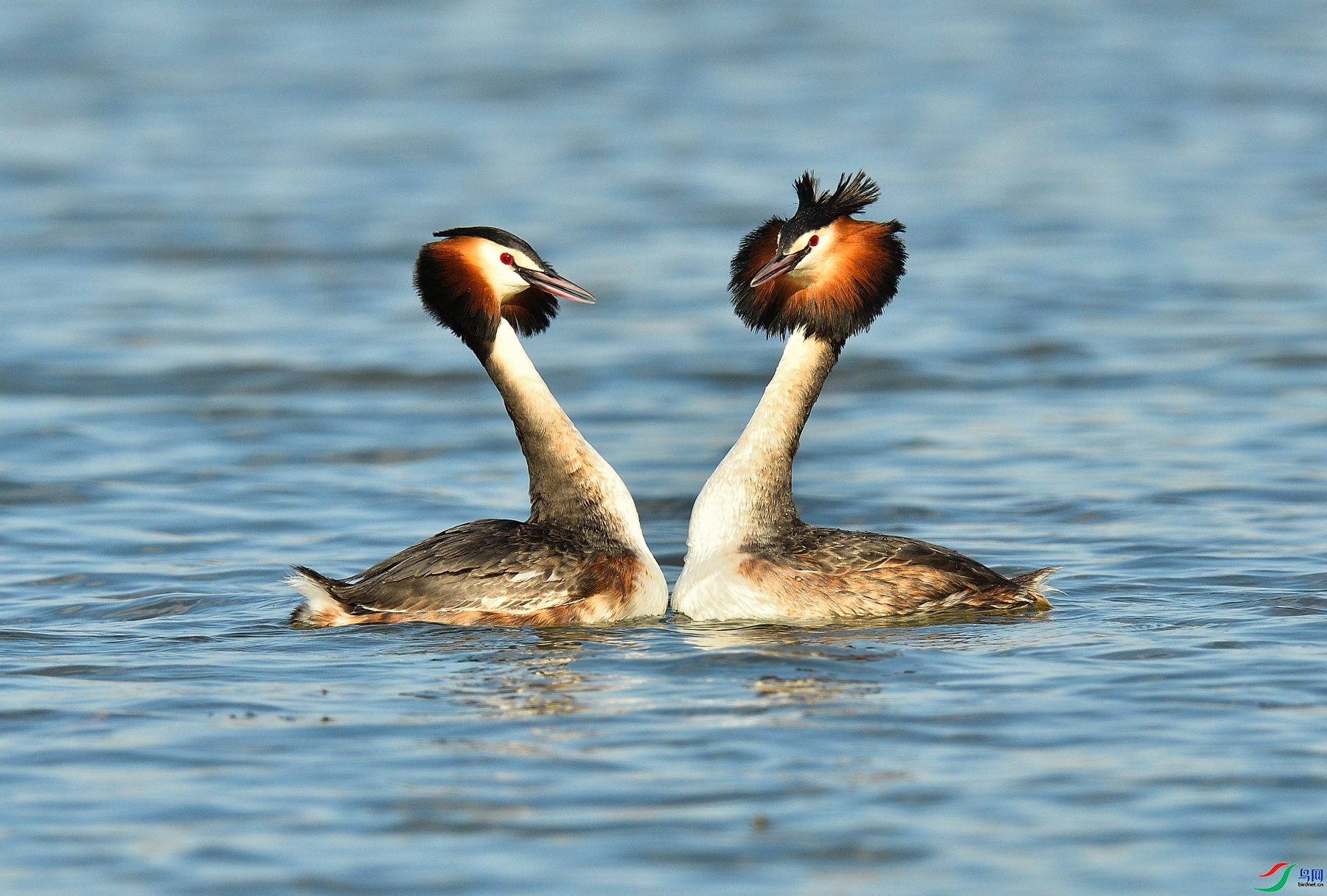 12.05�Ϻ���ʦ��Ʒ   ��ͷ�G�f��ף���ٻ���Ӱʦ������.jpg