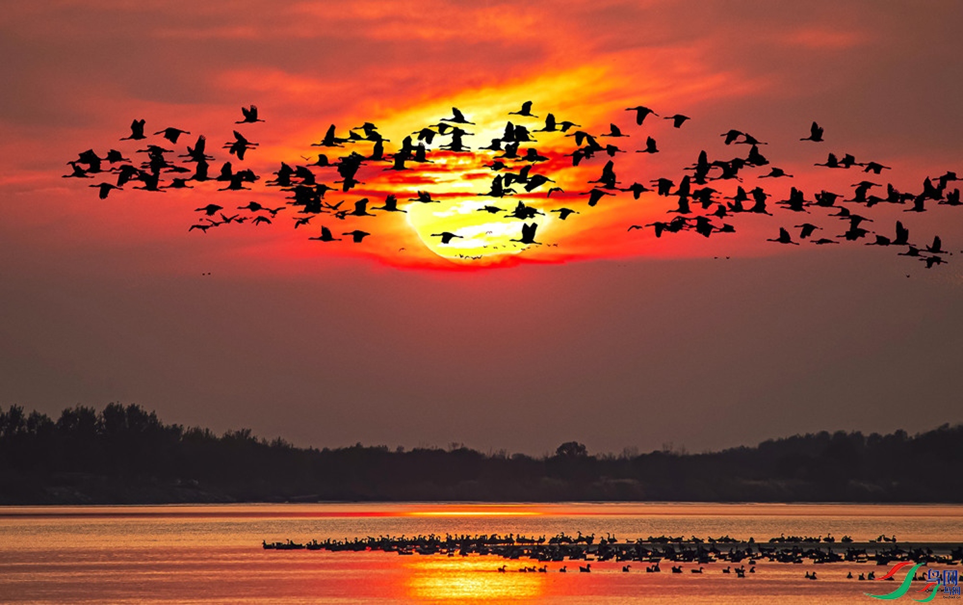 12.06 zjl13605462823��ʦ��Ʒ   �ƺӿ�ʪ��֮����ף���ٻ��Ա������1.jpg