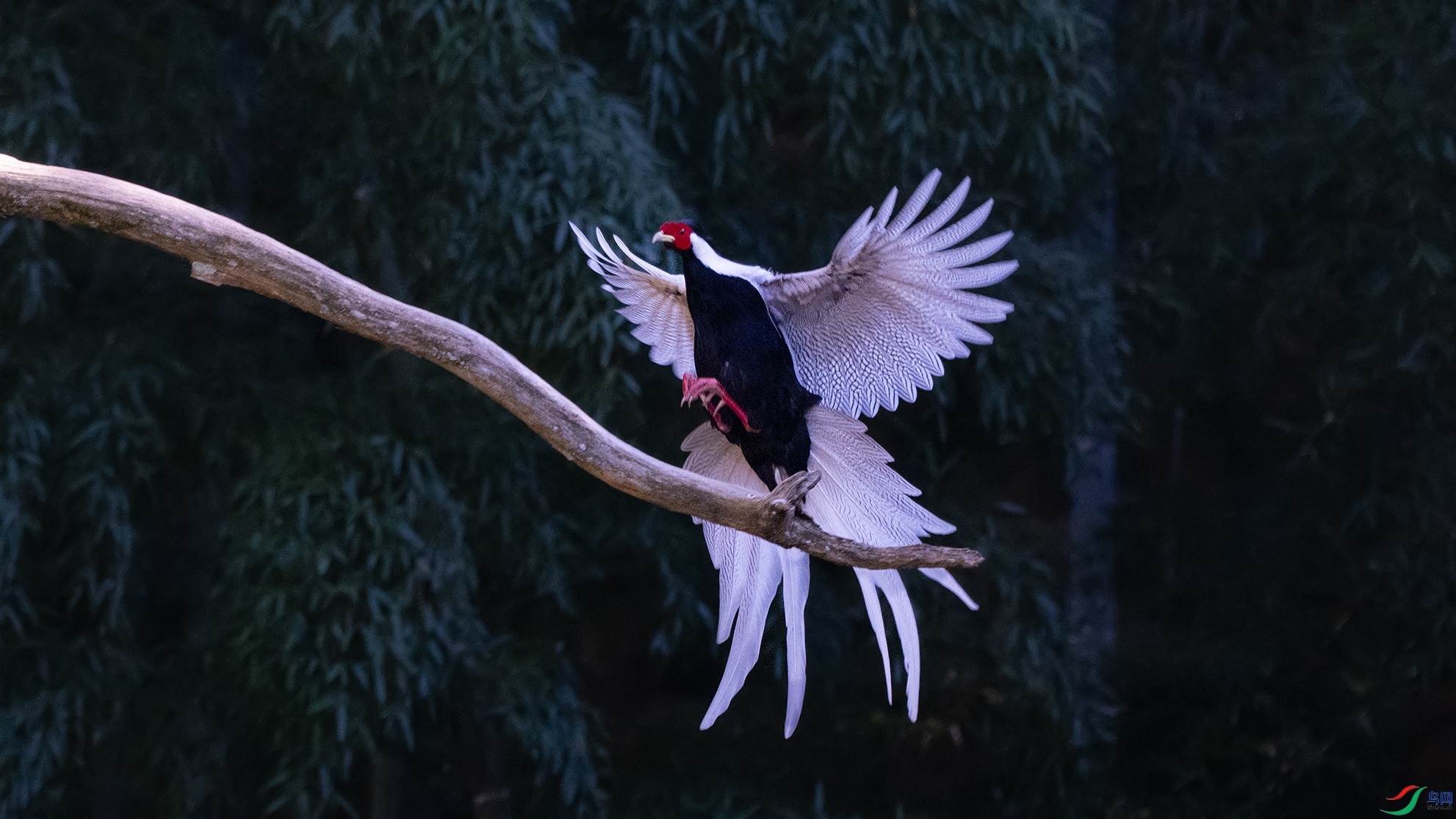 _DSC0862 ����.jpg