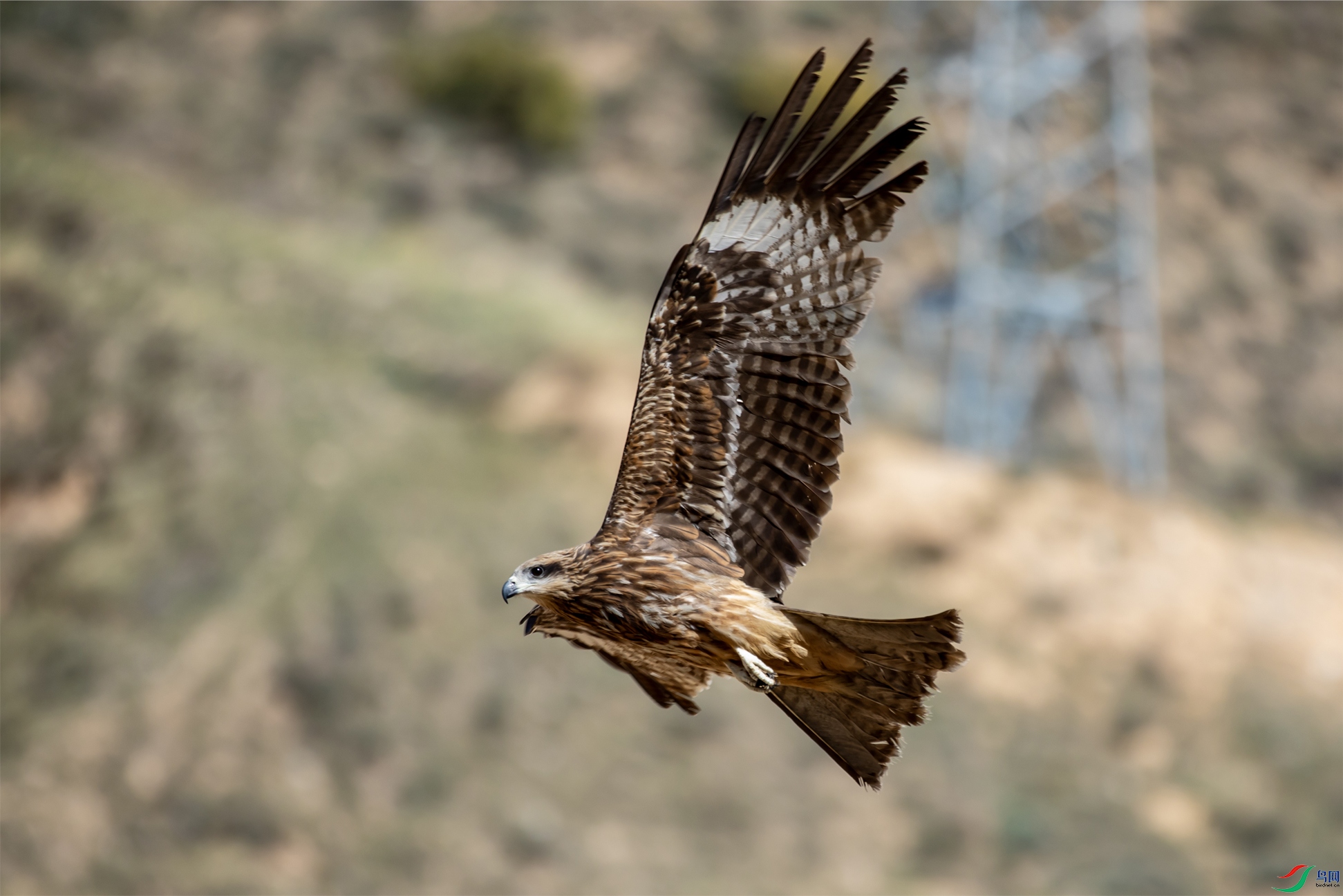 I99A8703 ���001.jpg