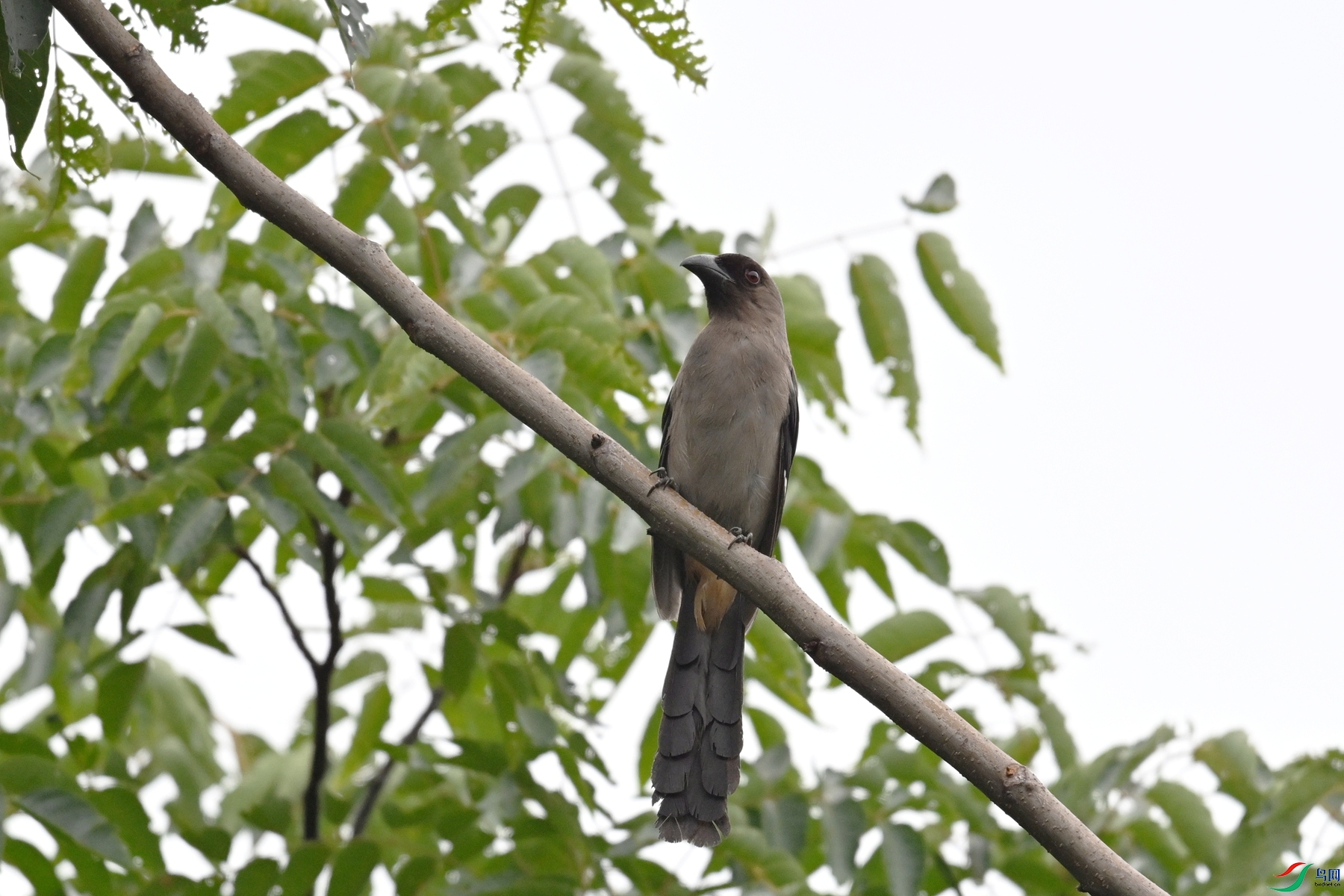 DSC_9720.JPG