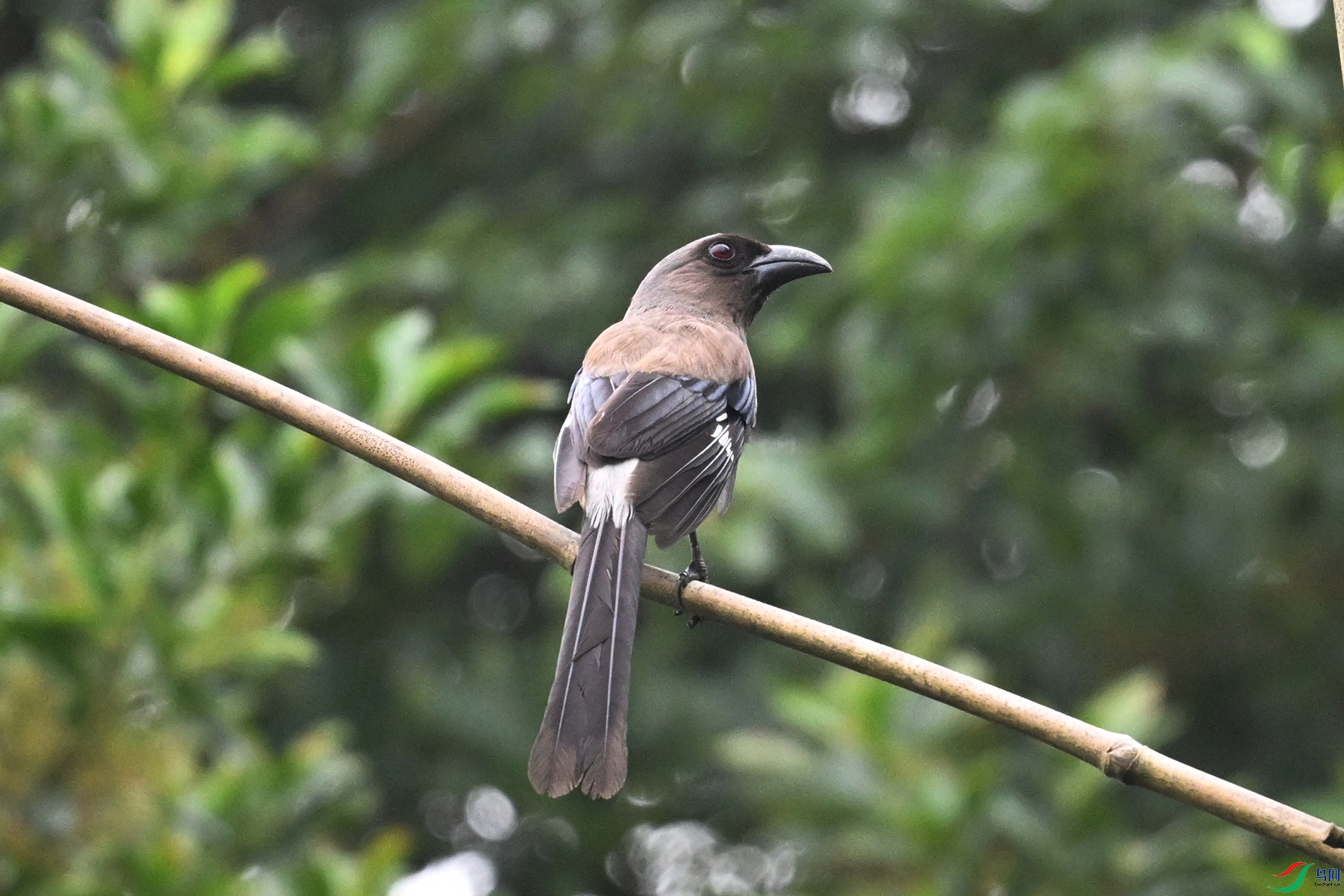 DSC_9724.JPG