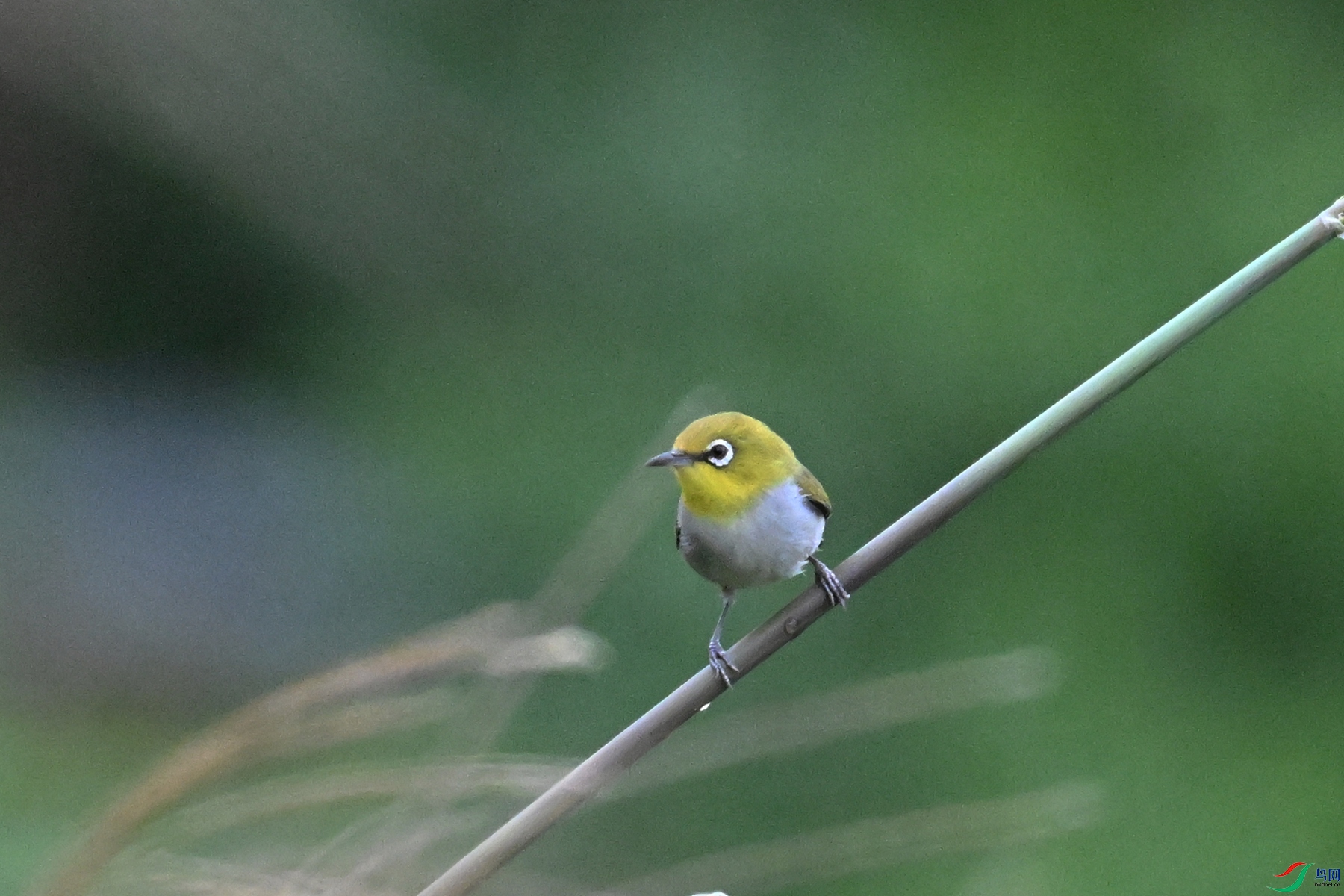 DSC_9705.JPG