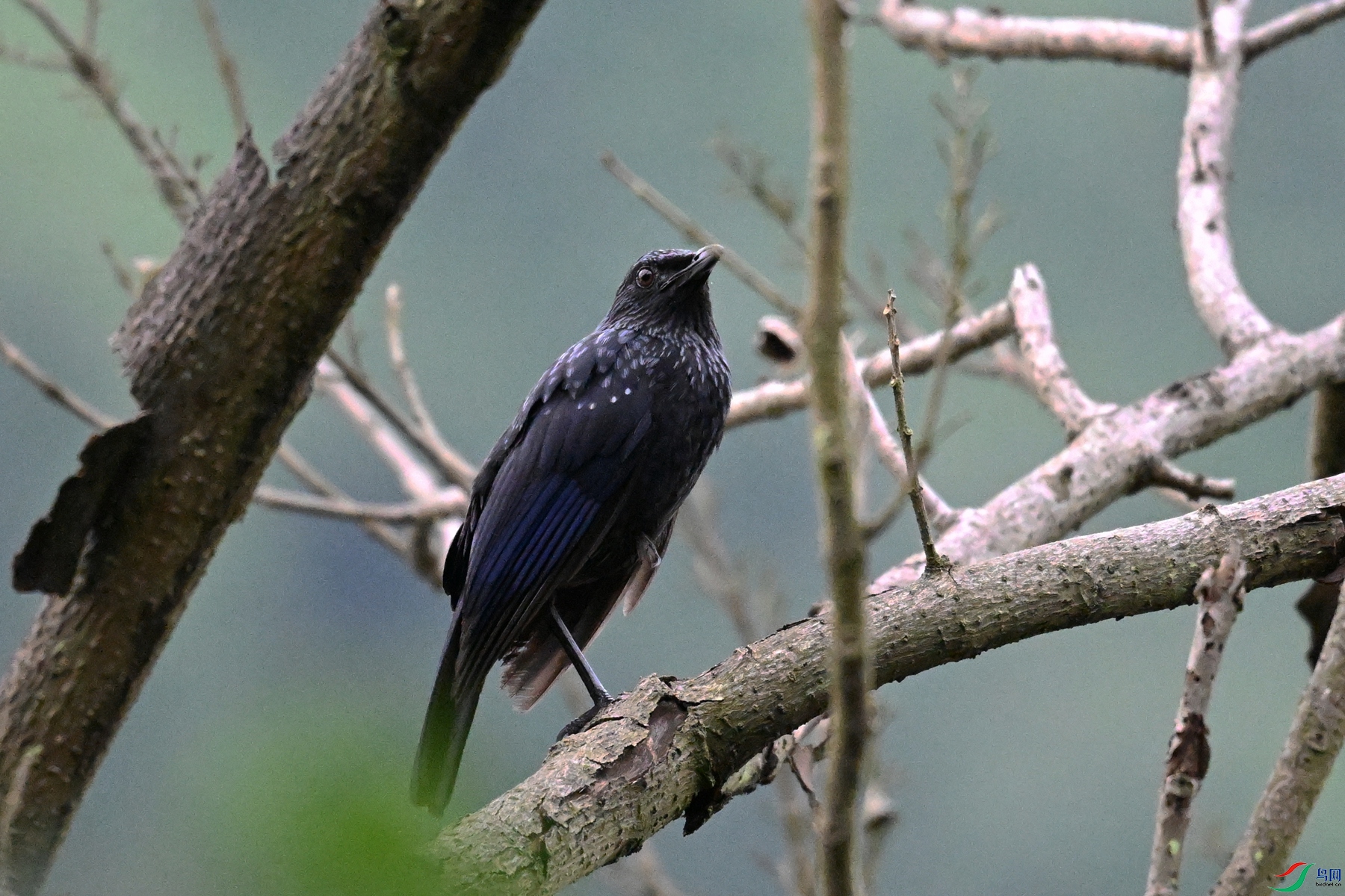 DSC_9707.JPG