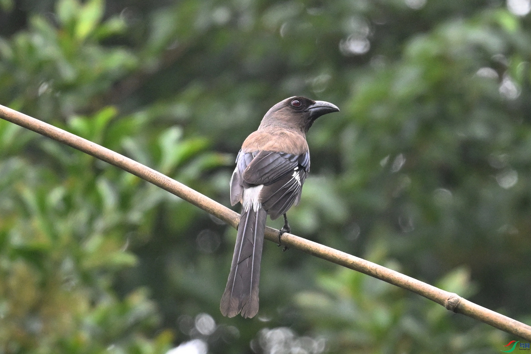 DSC_9725.JPG