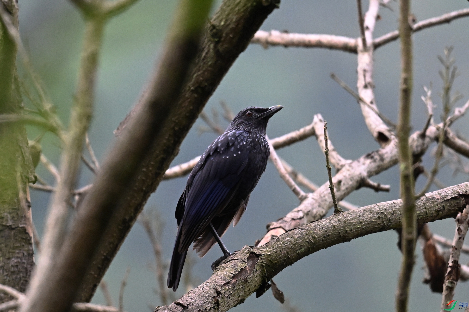 DSC_9710.JPG