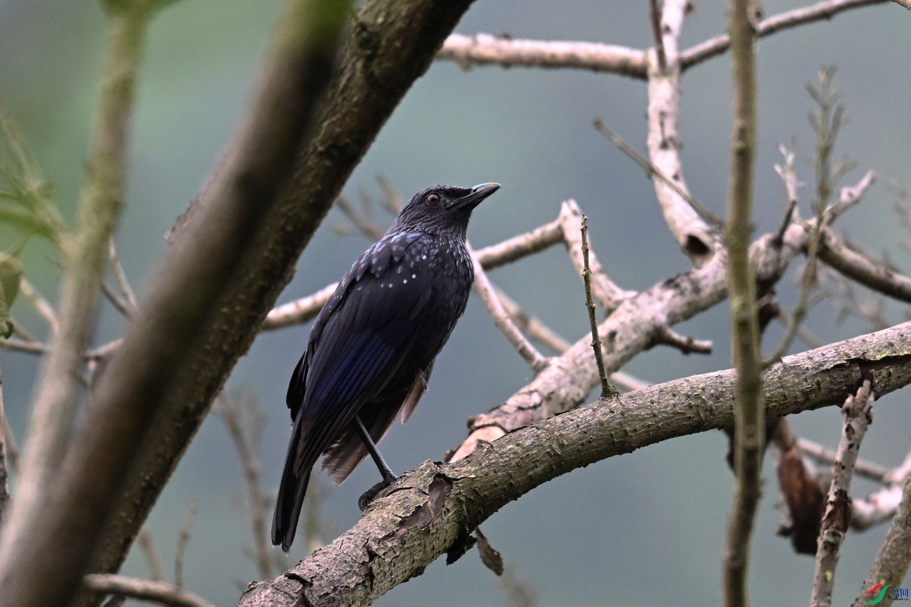 DSC_9712.JPG