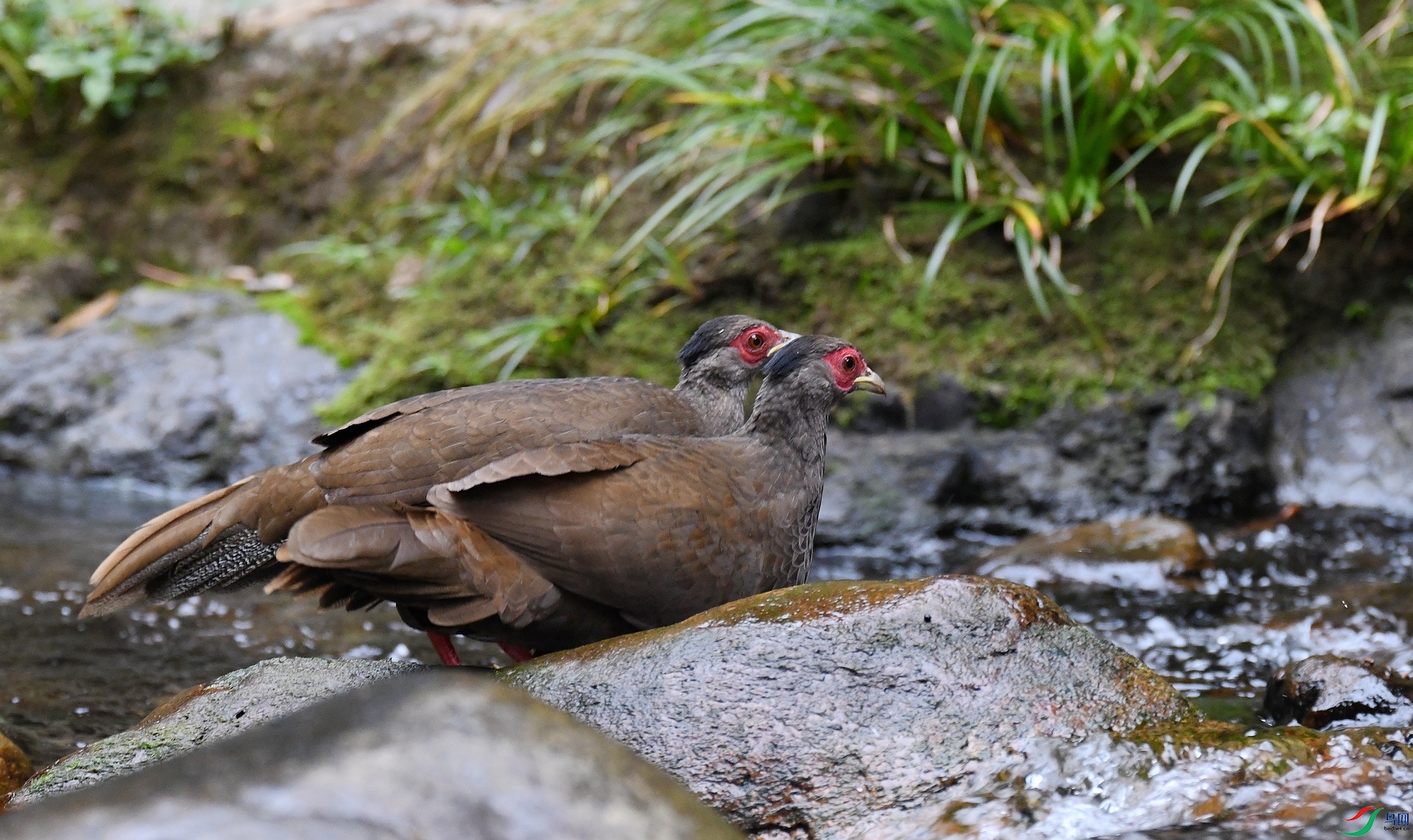 DSC_1163.jpg