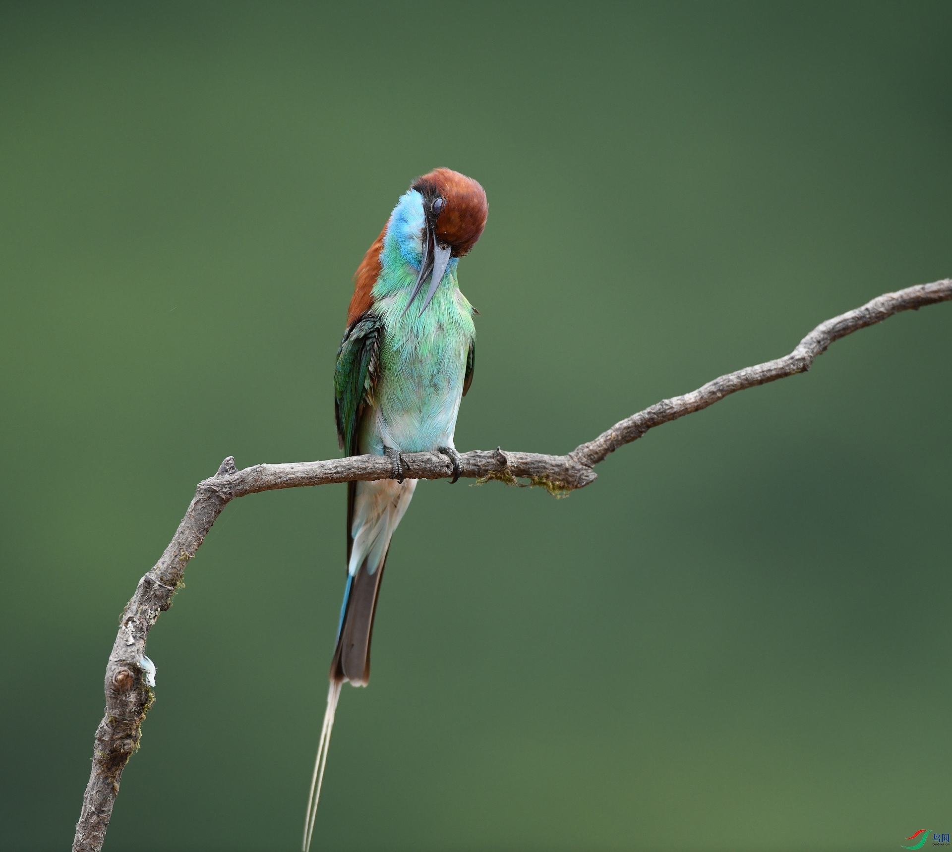DSC_1104.jpg