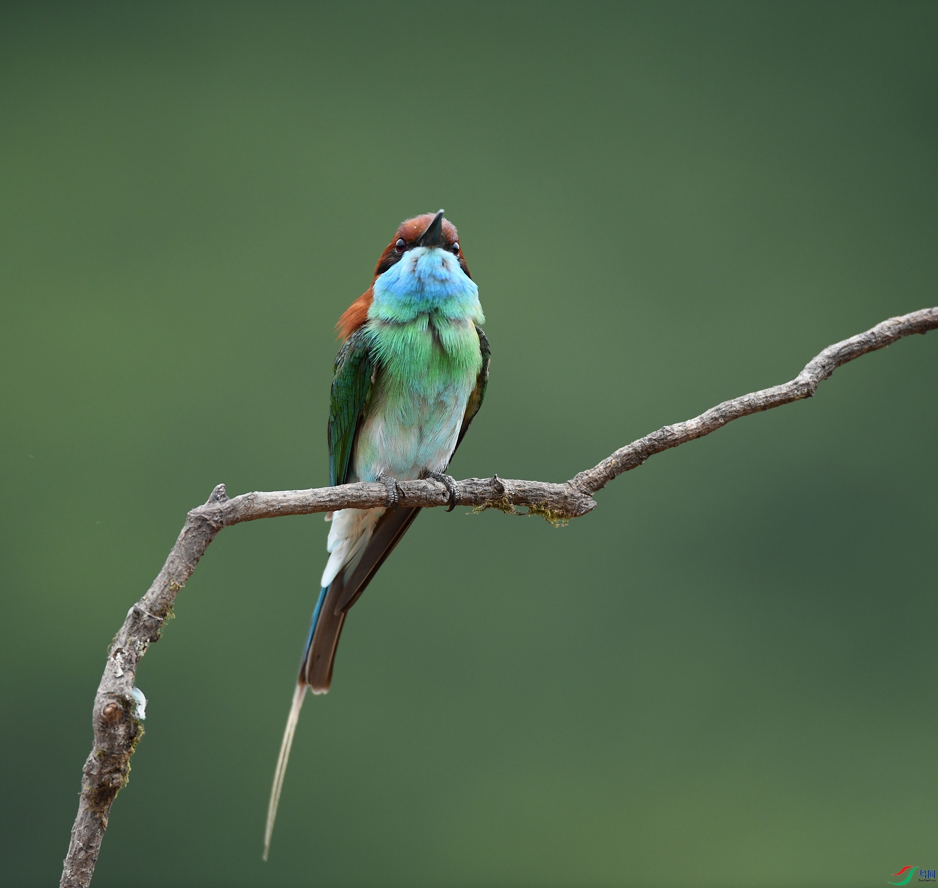 DSC_1095.jpg