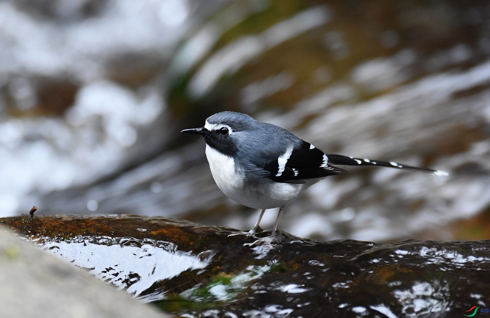 DSC_1086.jpg