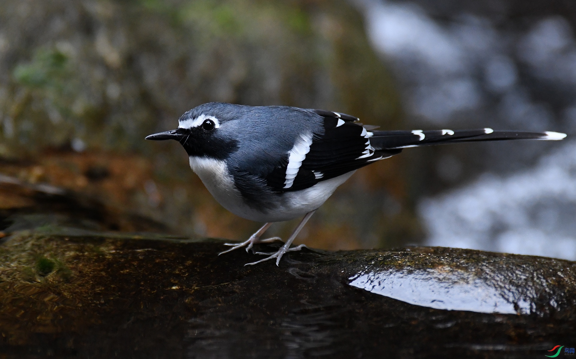 DSC_1427.jpg