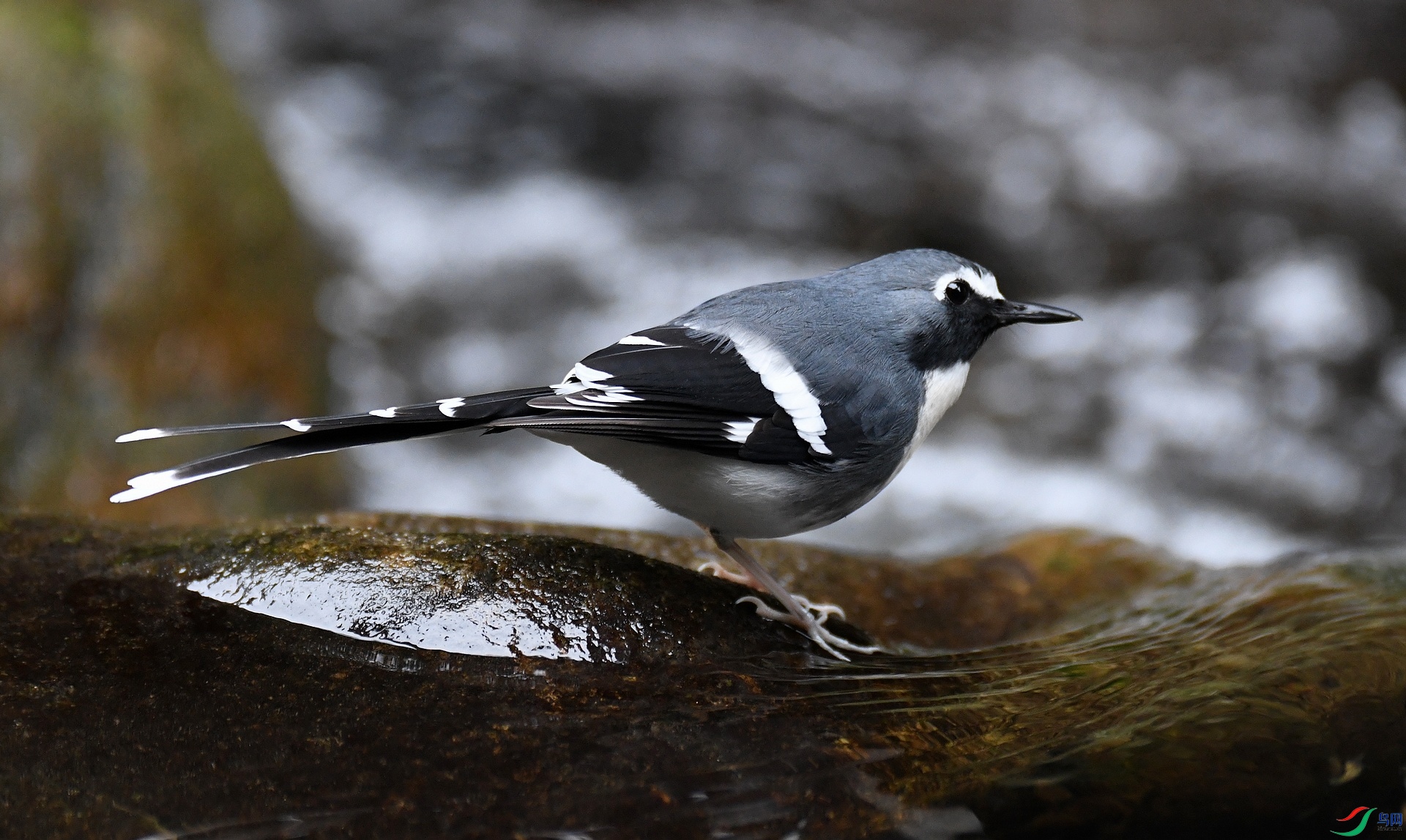 DSC_1434.jpg