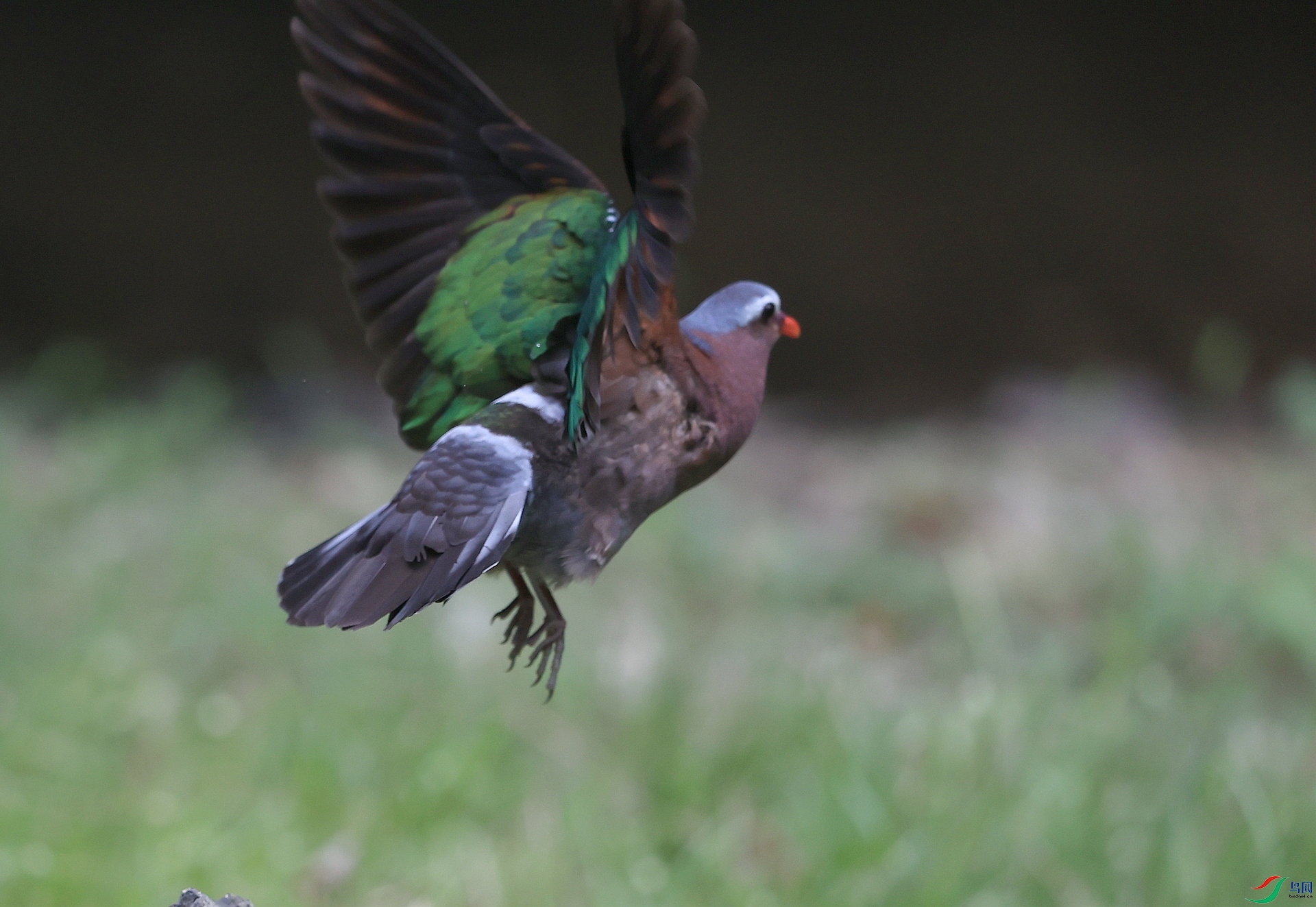 AK1I3414�� ��1.JPG