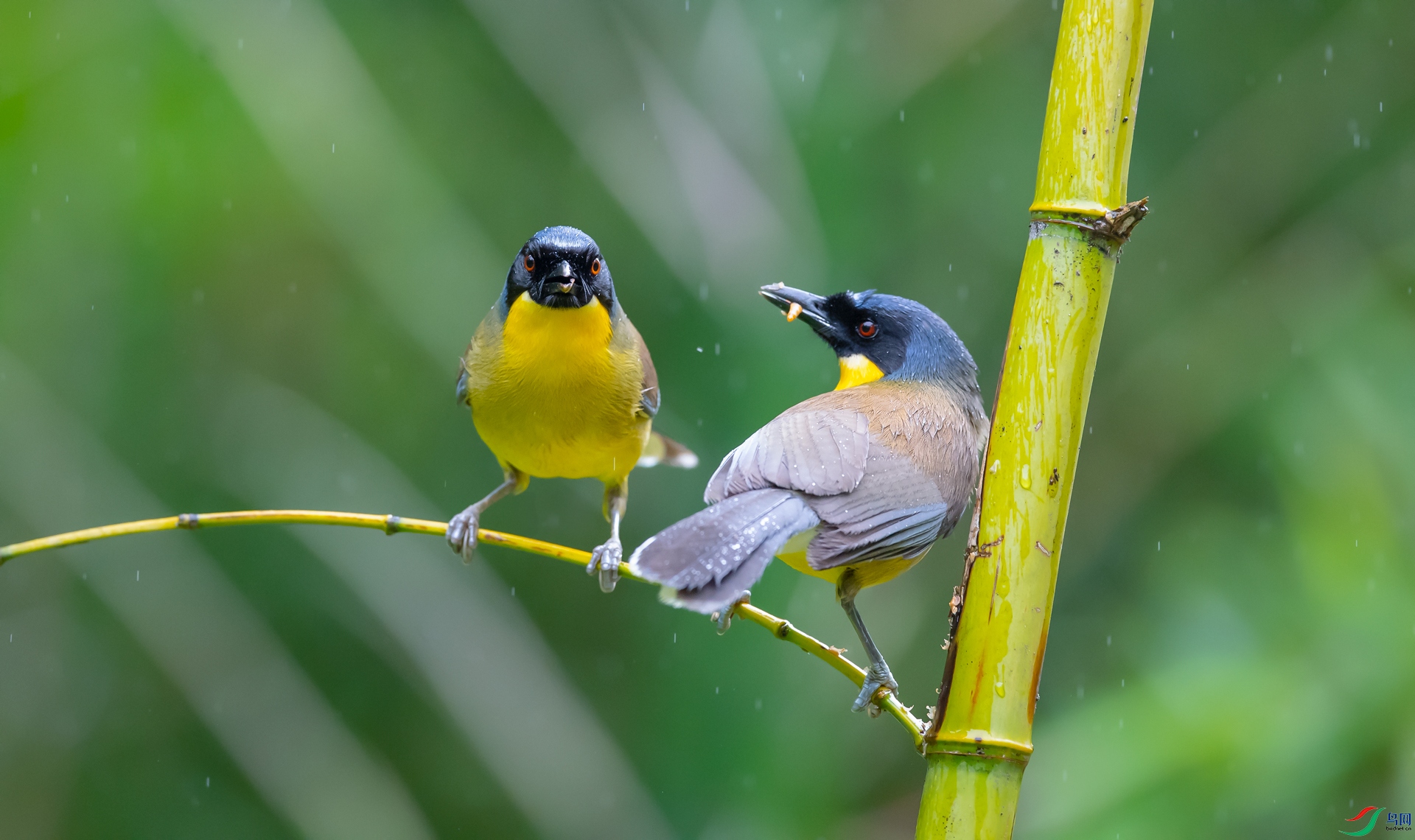 DSC_�������� - ����.jpg