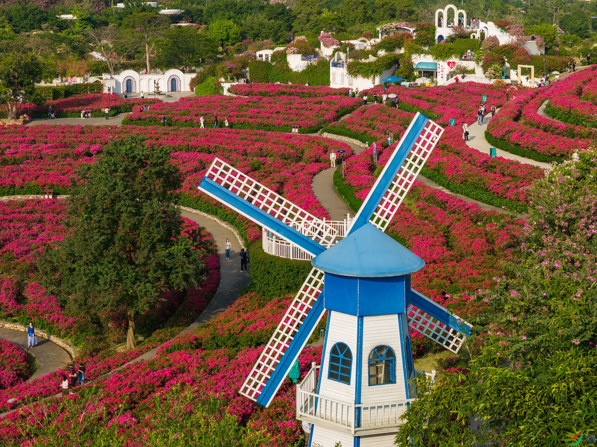 DJI_20251201154734_0048_D ����11.jpg