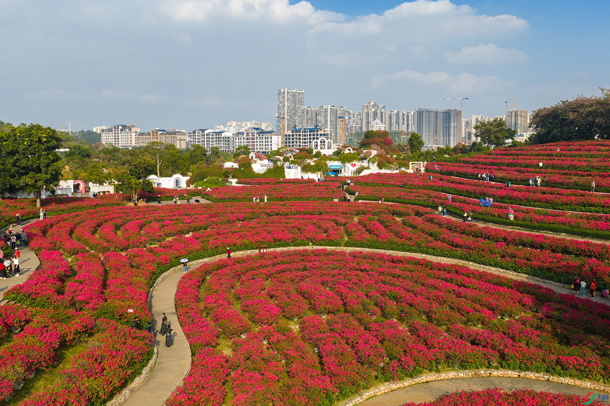 DJI_20251201153003_0020_D ����11.jpg