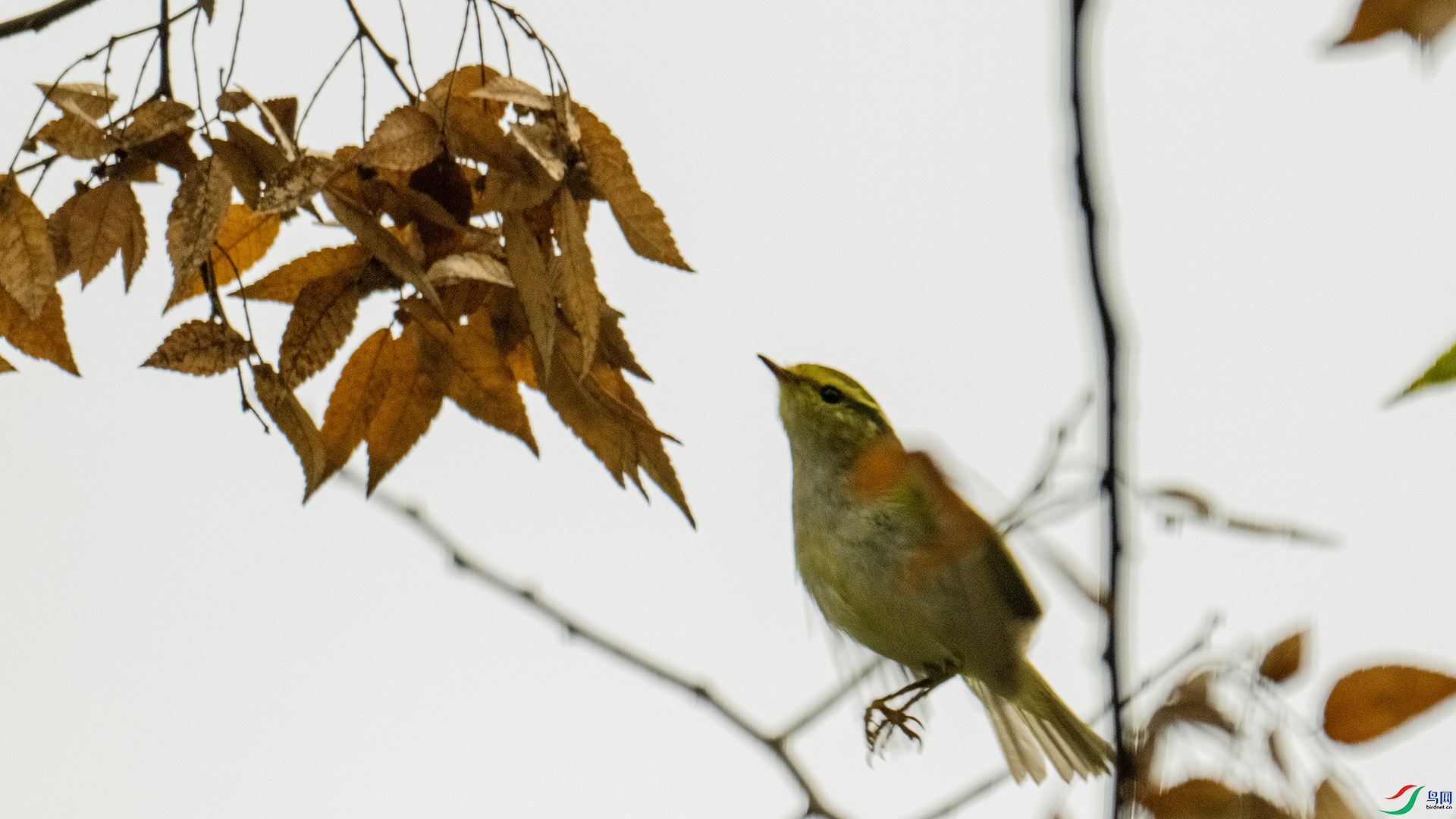 DSC_8872 ����.jpg