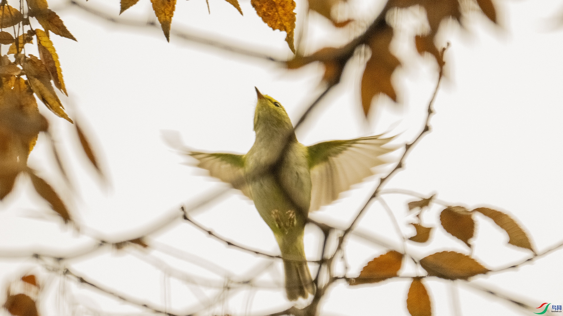 DSC_8889 ����.jpg