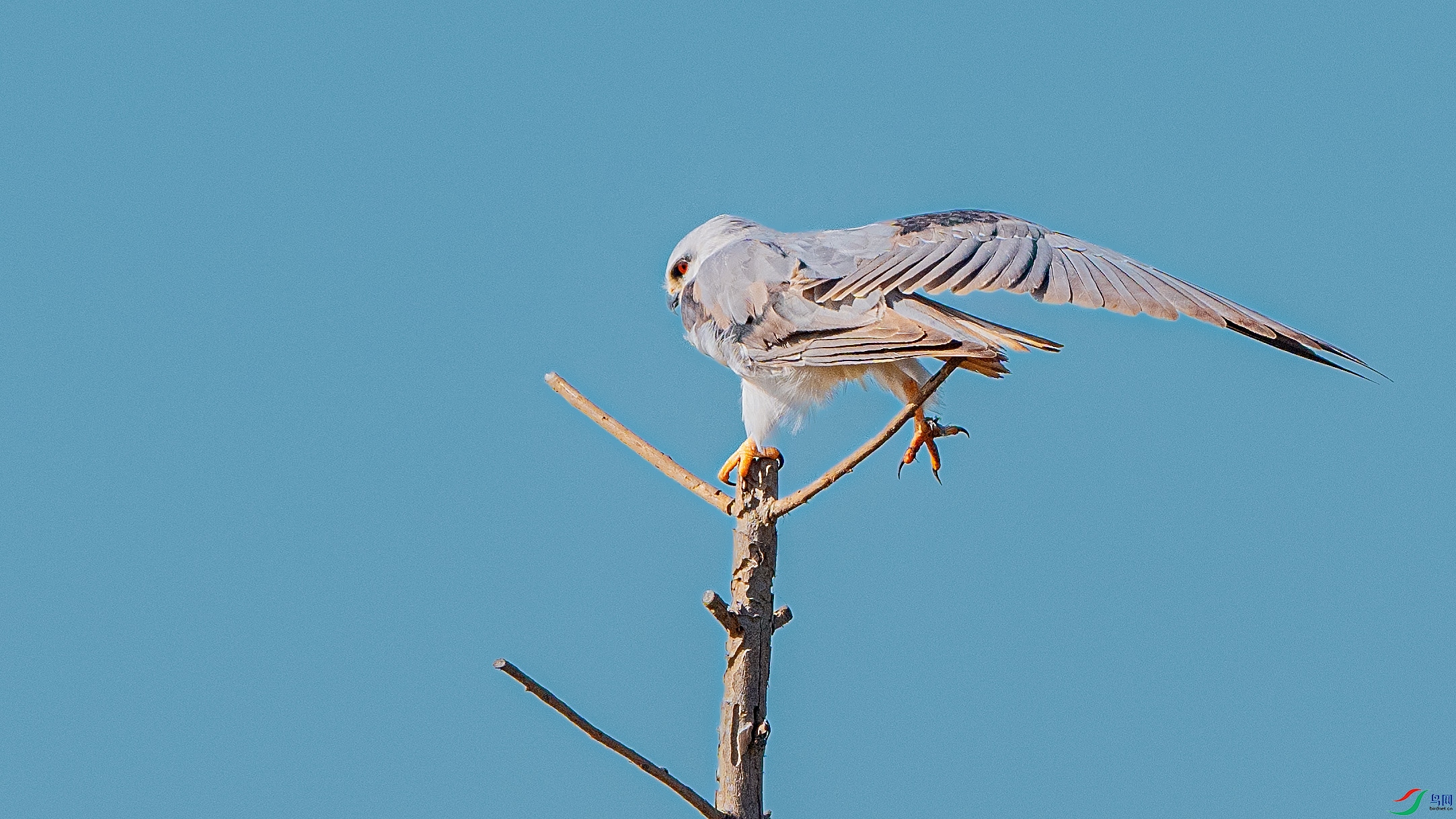 DSC_0241 ����.jpg