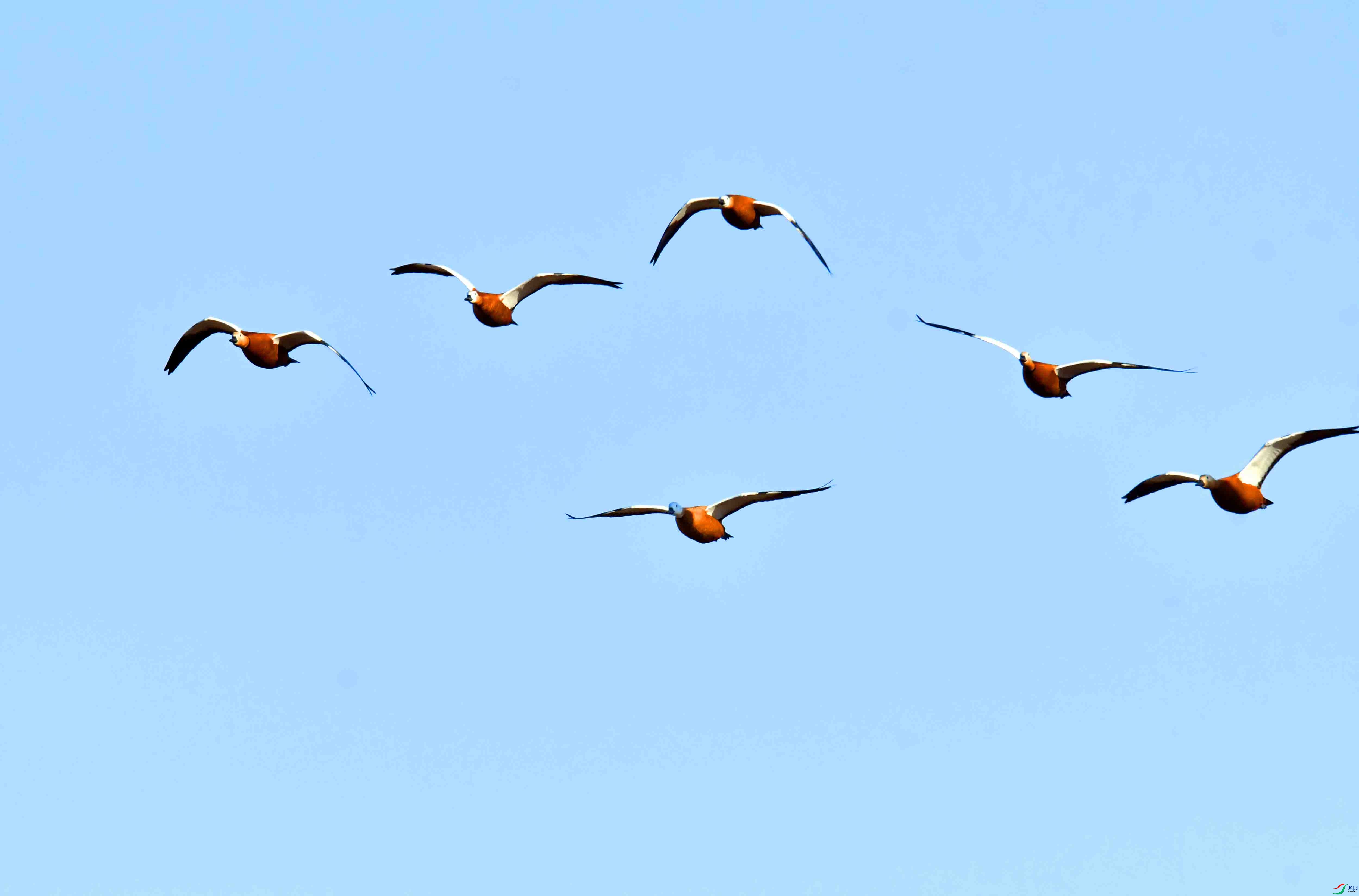 DSC_1238.JPG