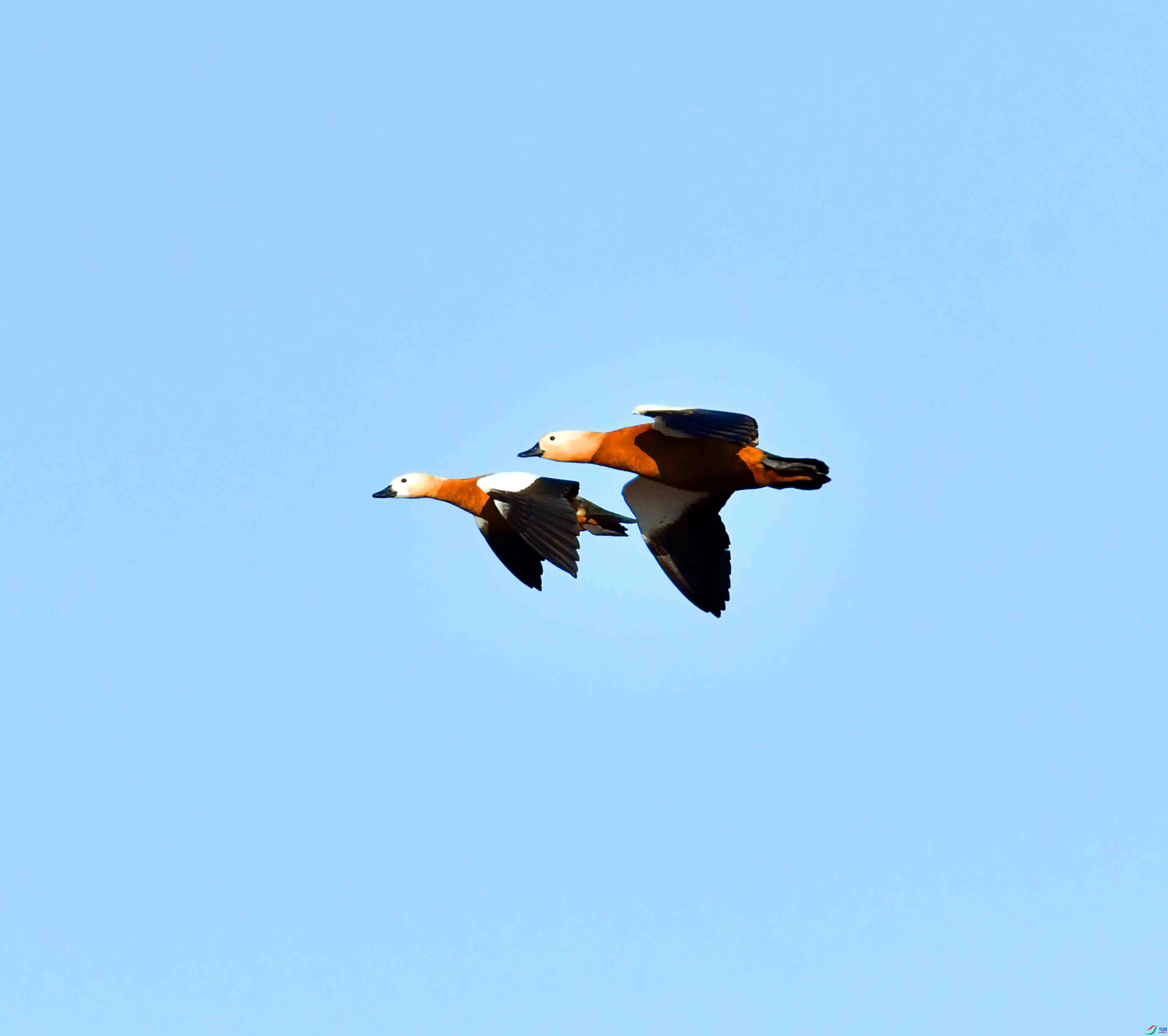DSC_1304.JPG