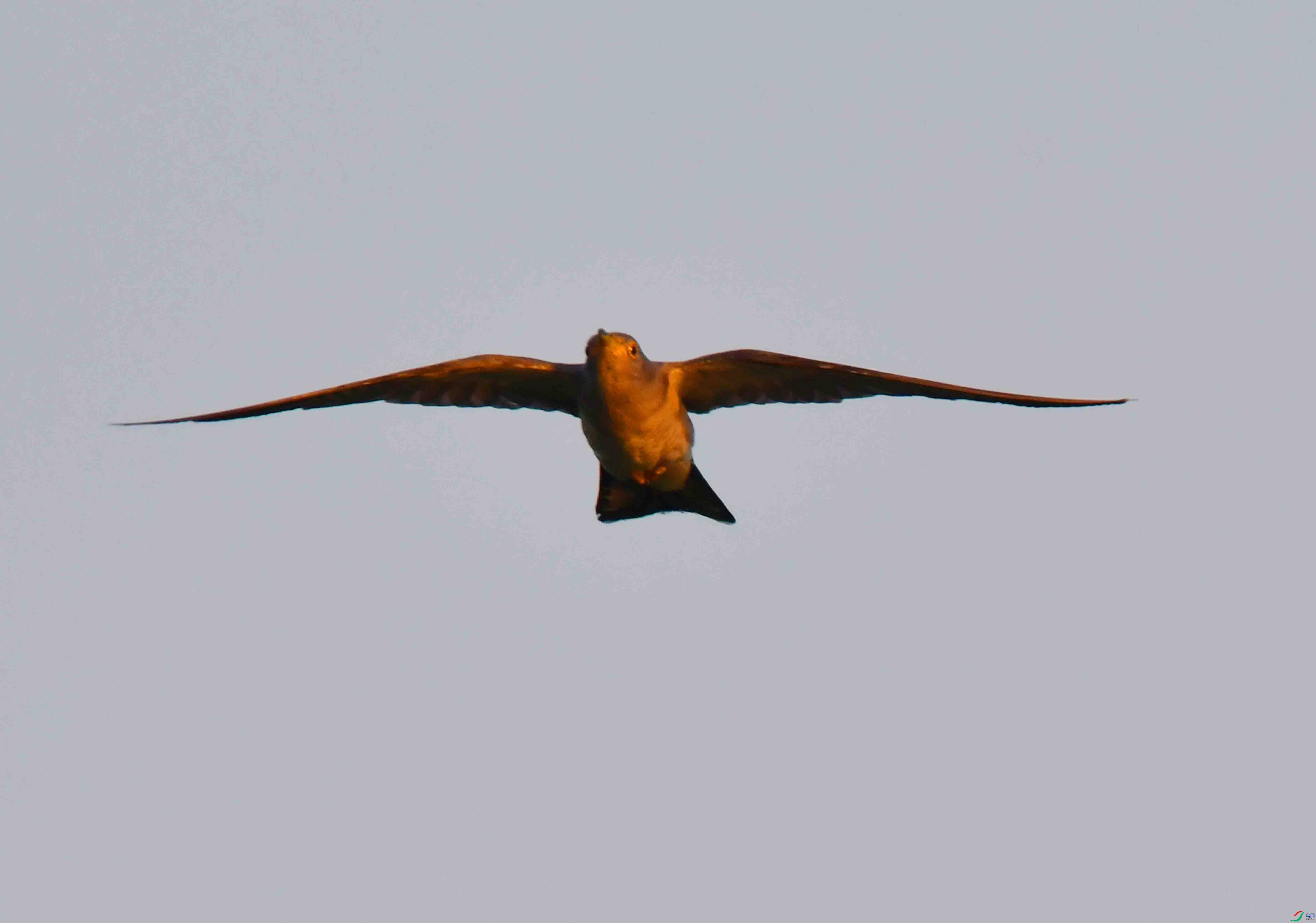 DSC_7219.JPG