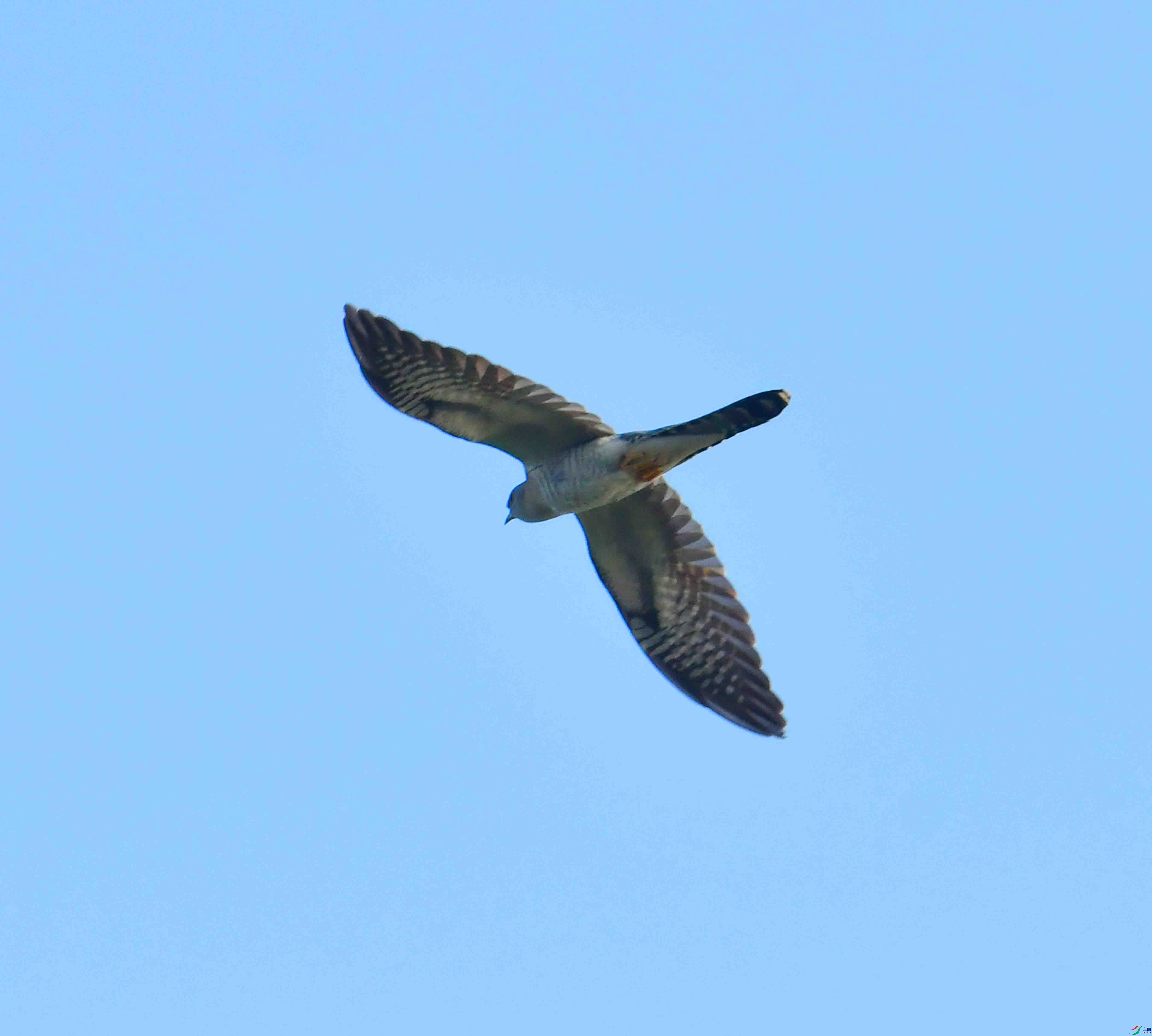 DSC_7293.JPG