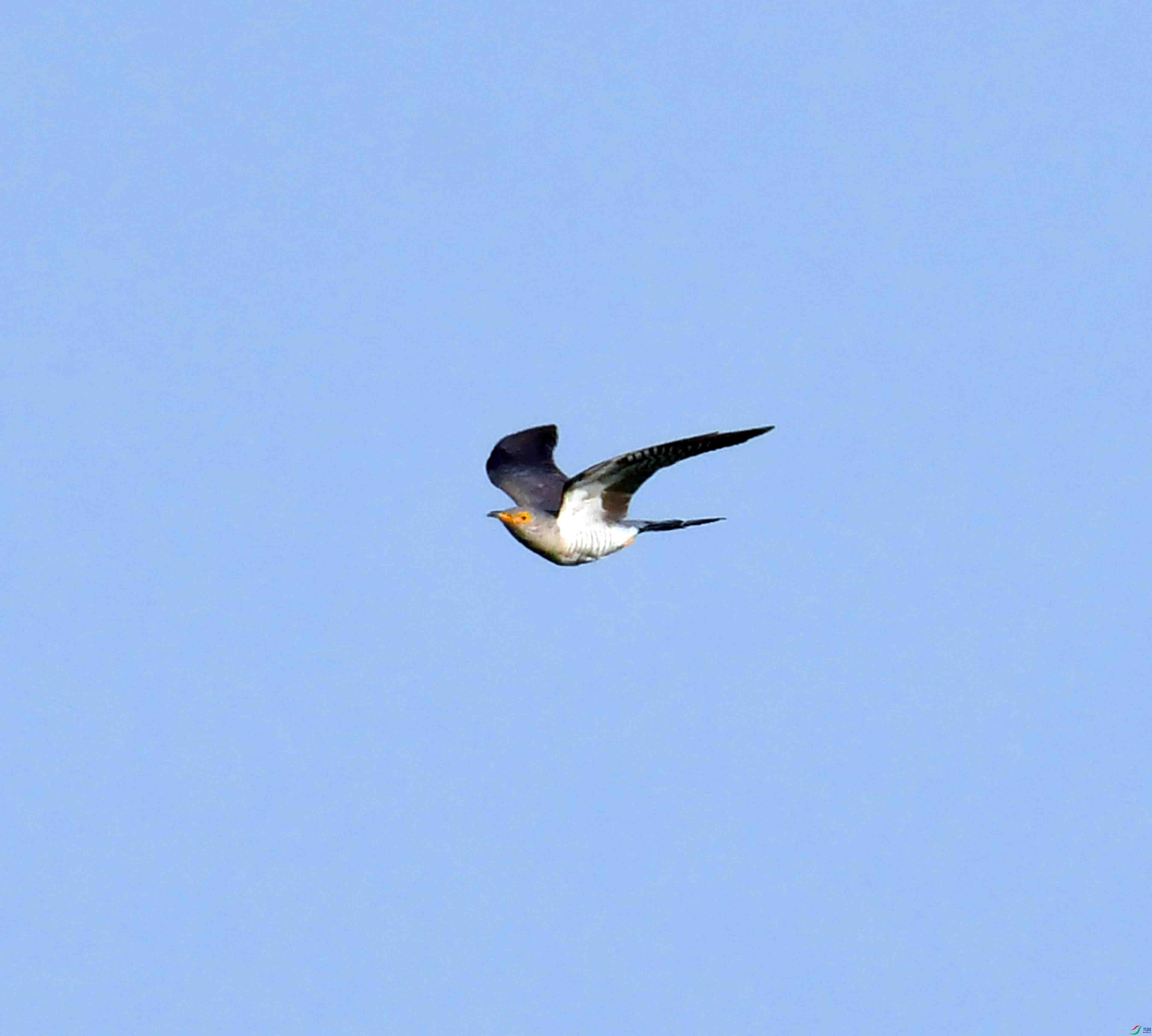 DSC_7356.JPG