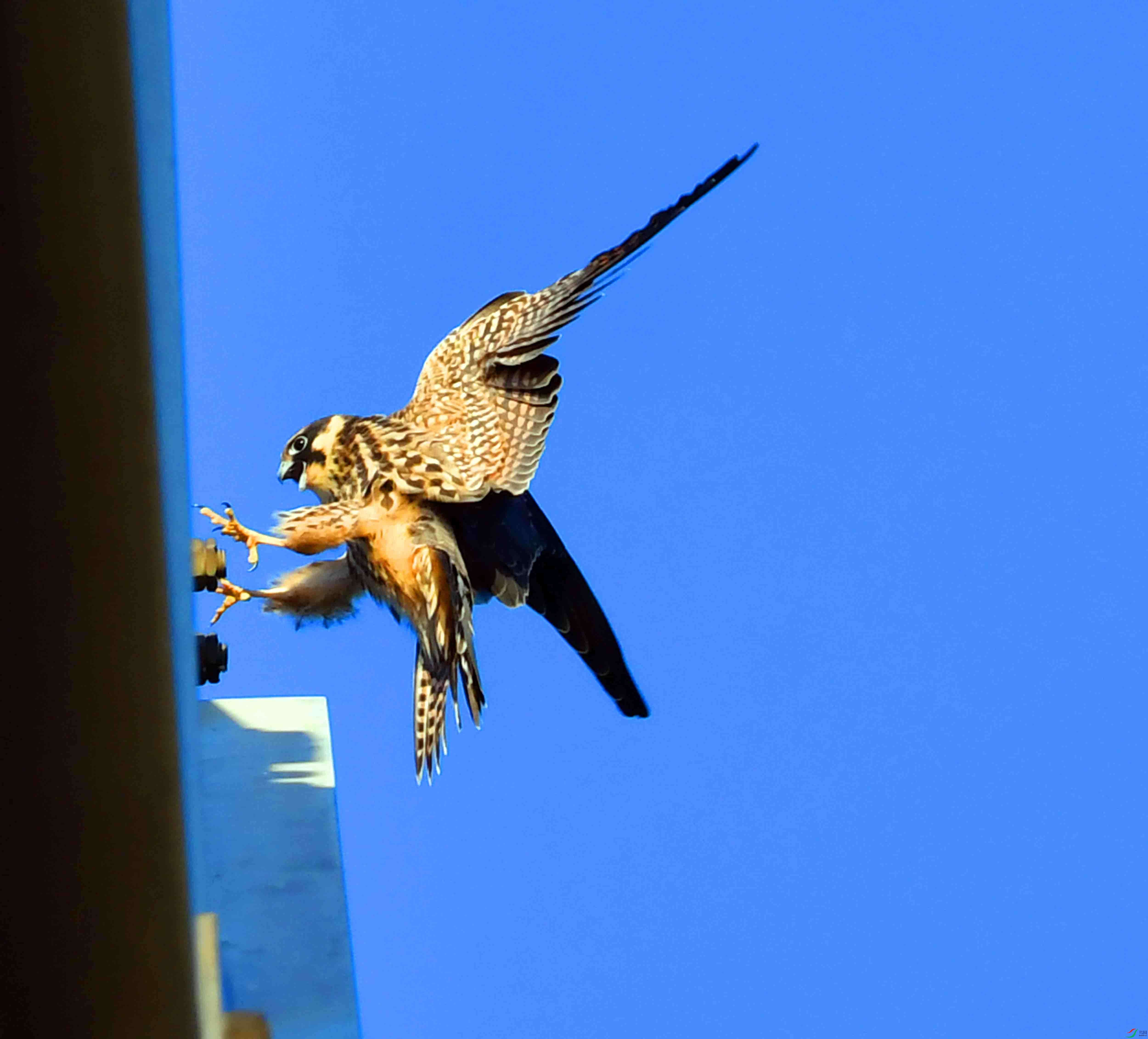 DSC_1769.JPG