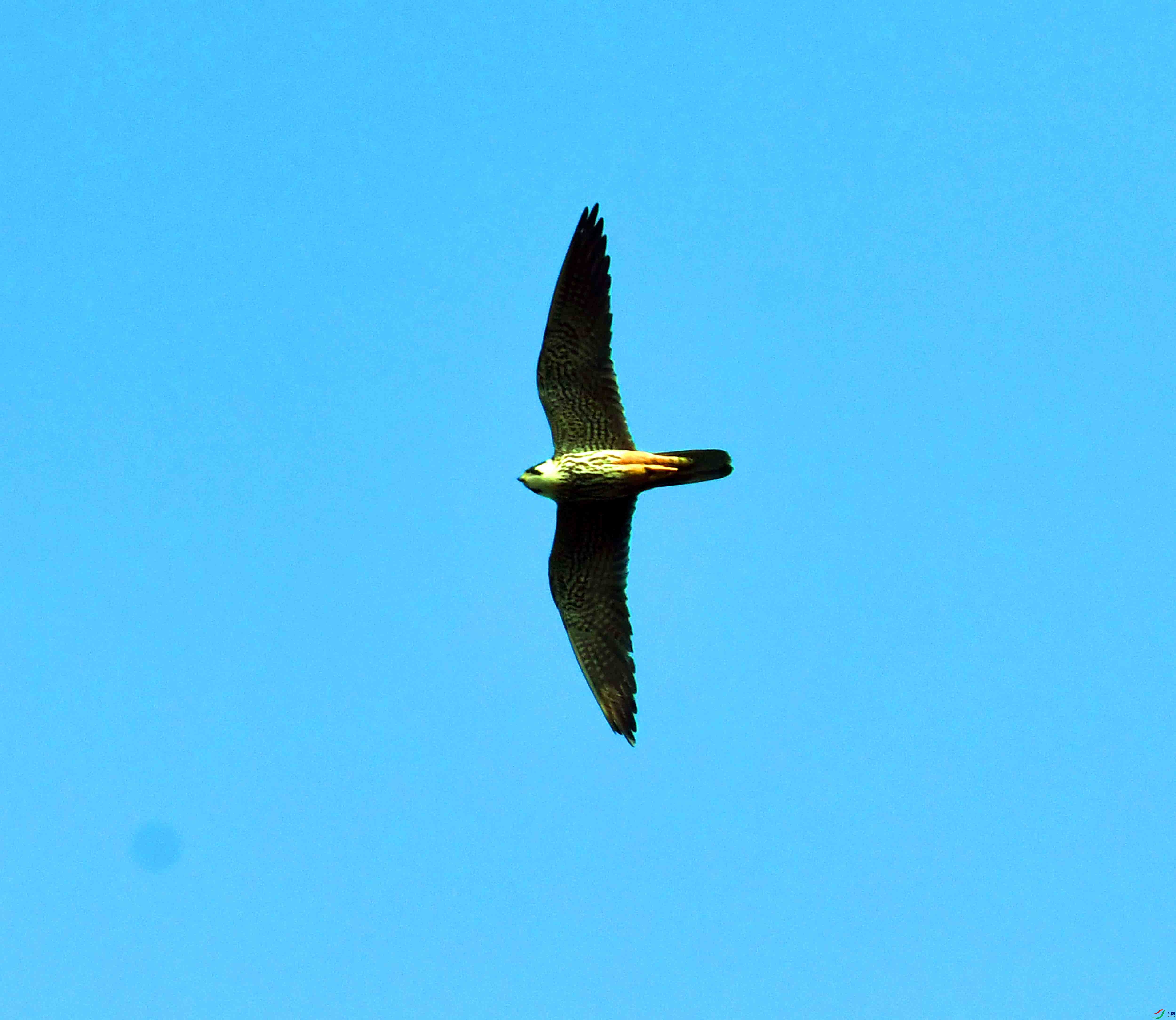 DSC_1813.JPG
