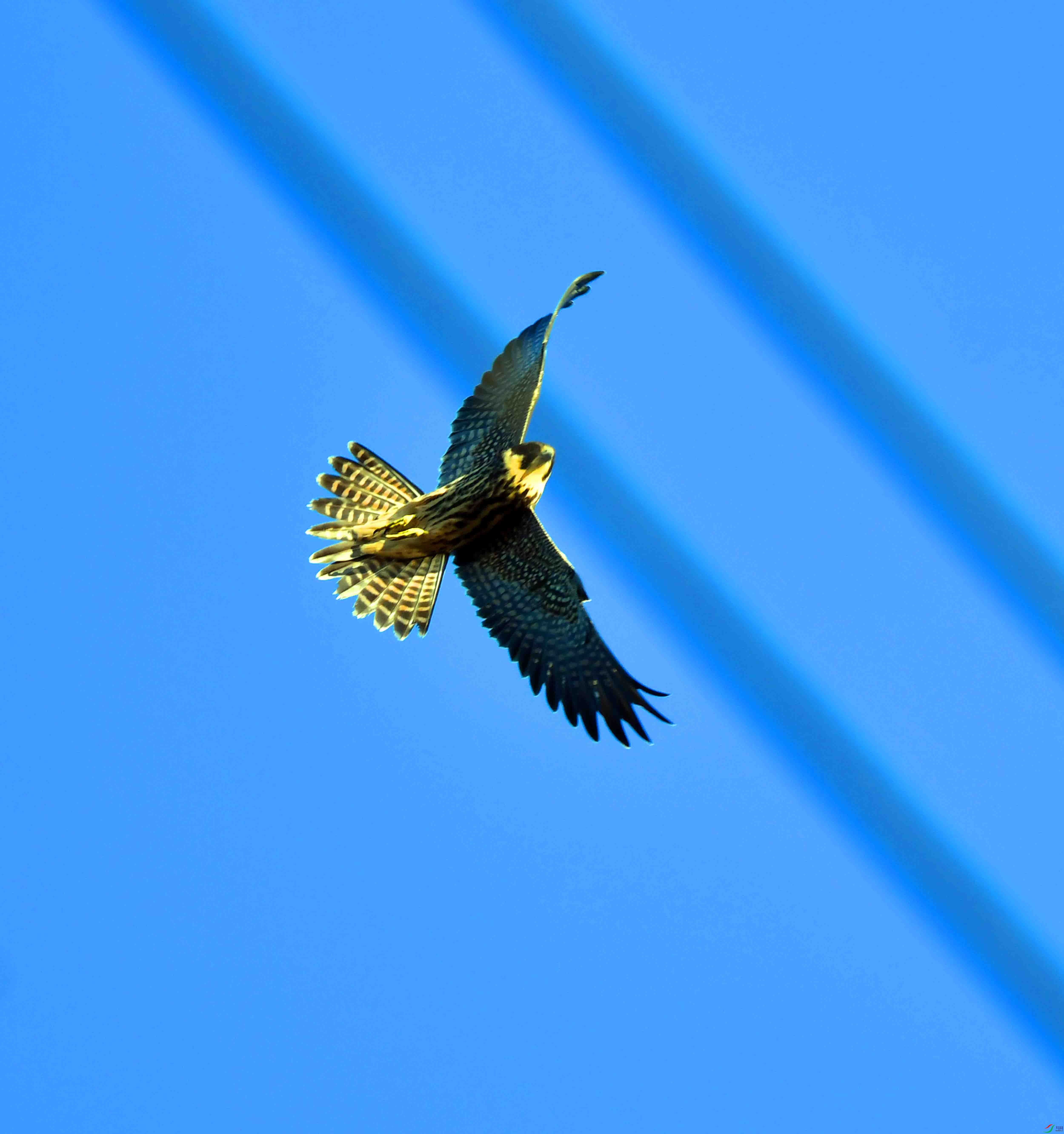 DSC_1836.JPG