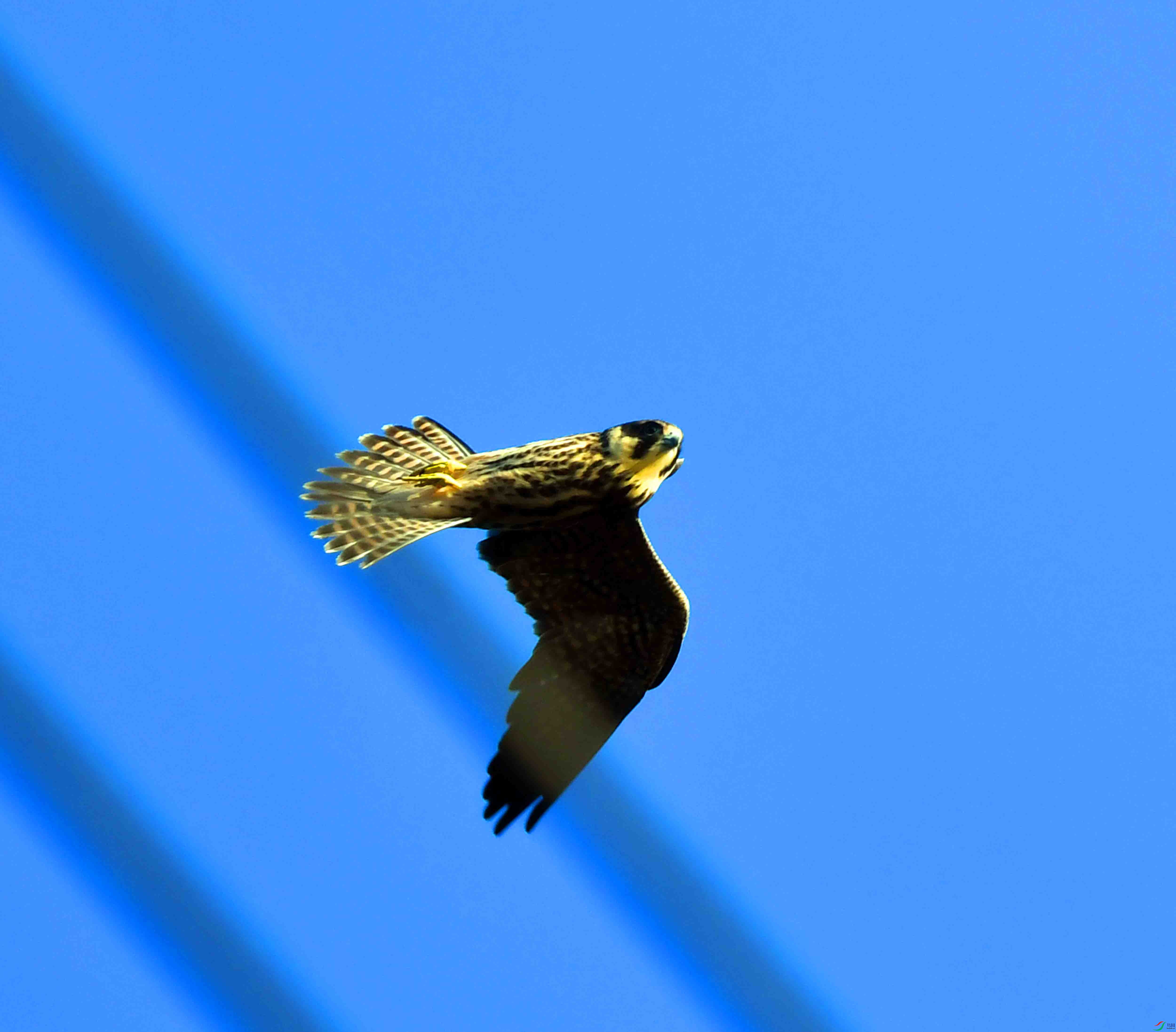 DSC_1837.JPG