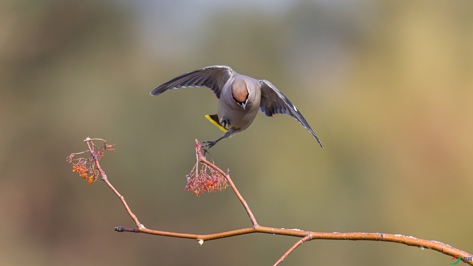 051A4348 ����n.jpg