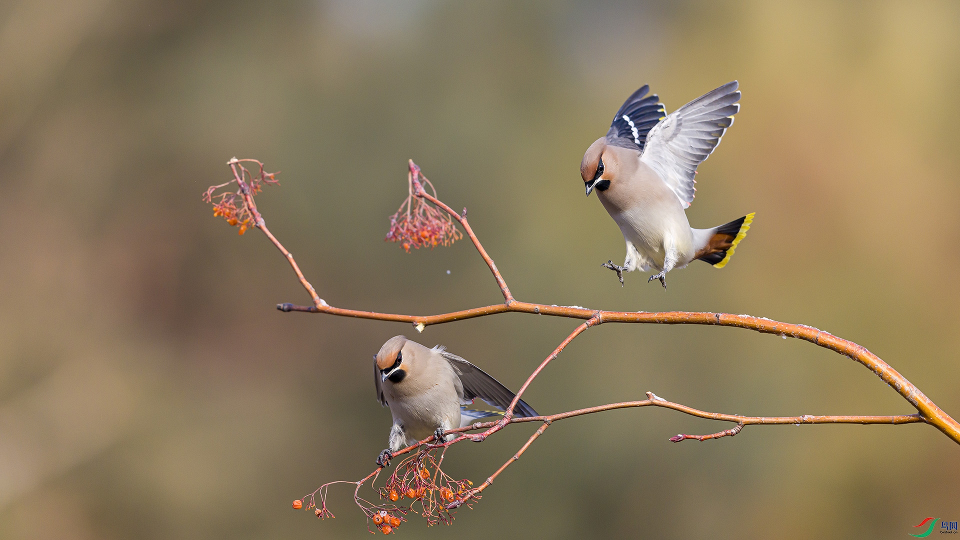 051A4353 ����n.jpg