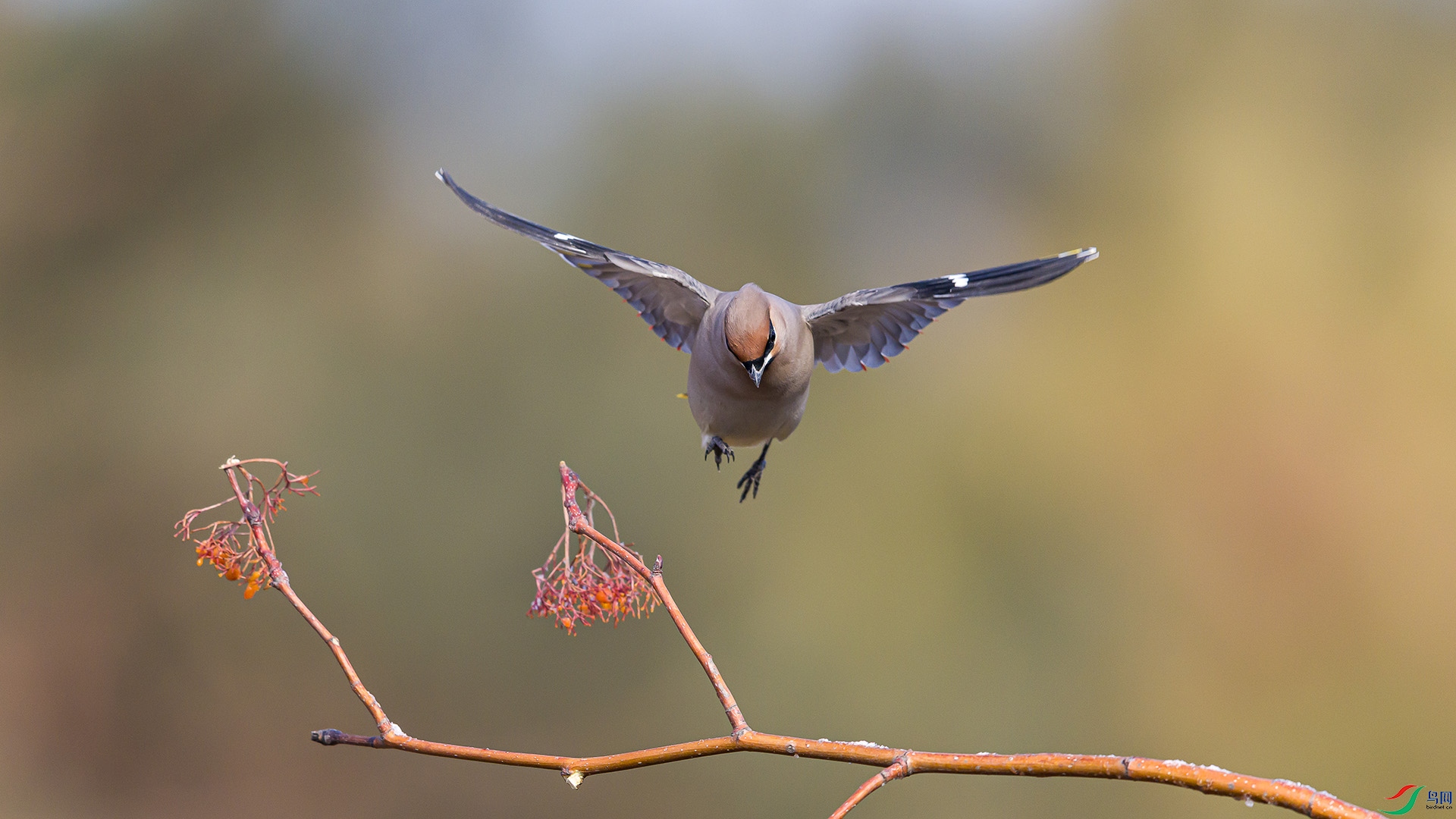 051A4349 ����n.jpg