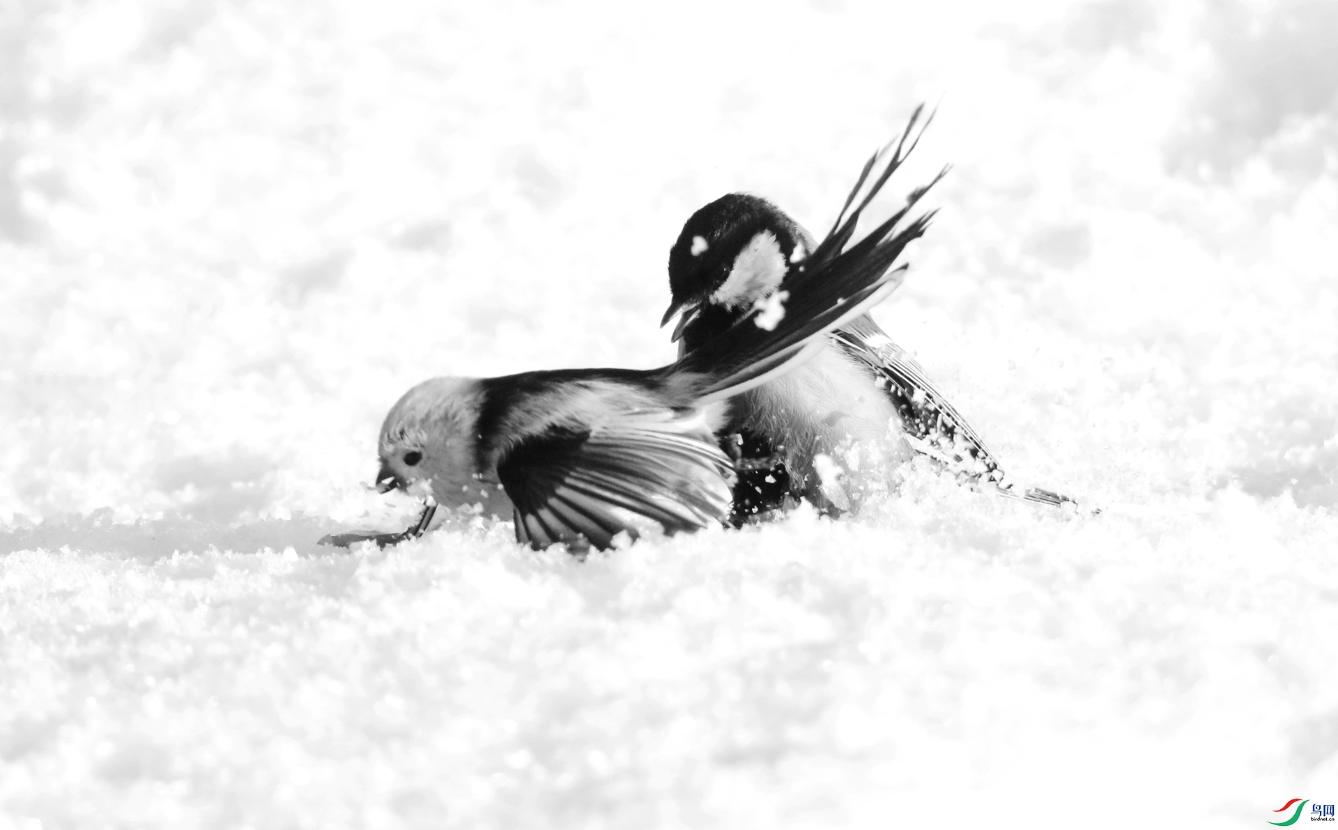 0G1A8057 ����.jpg