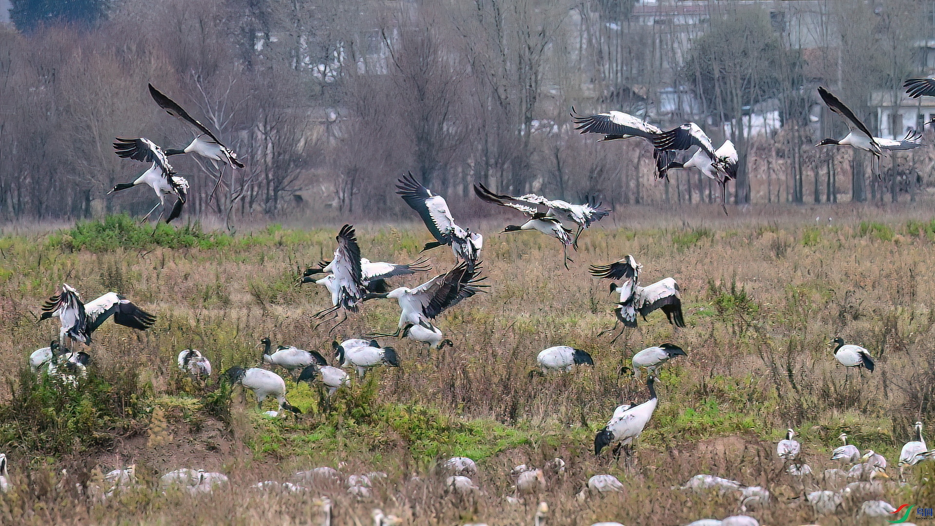 12��7�� (1).jpg