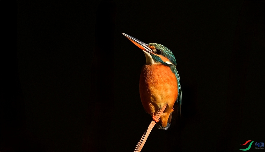 DSC_5044.JPG
