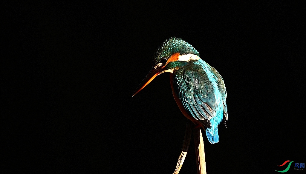 DSC_6213.JPG