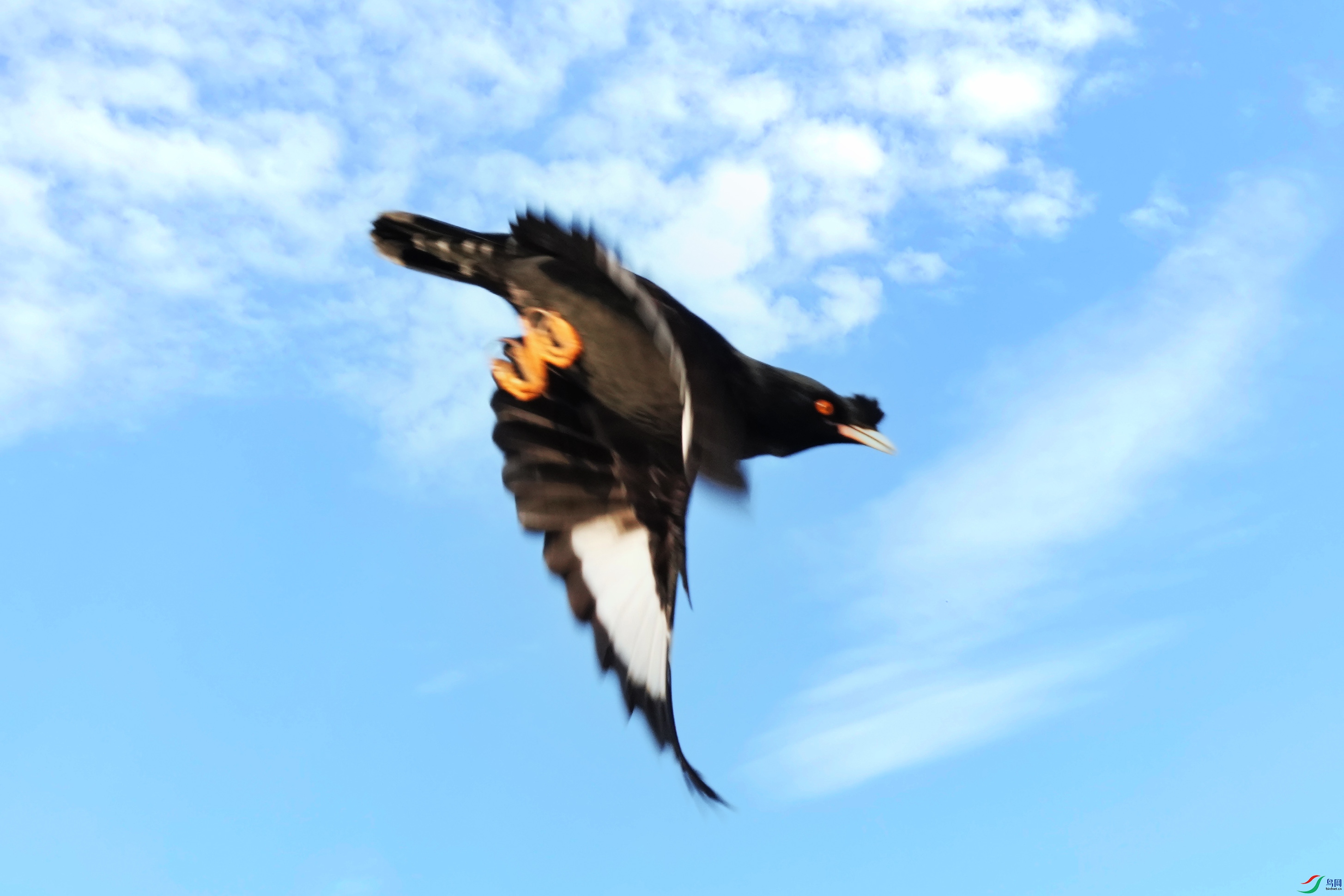 073DSC09310 ����2.jpg