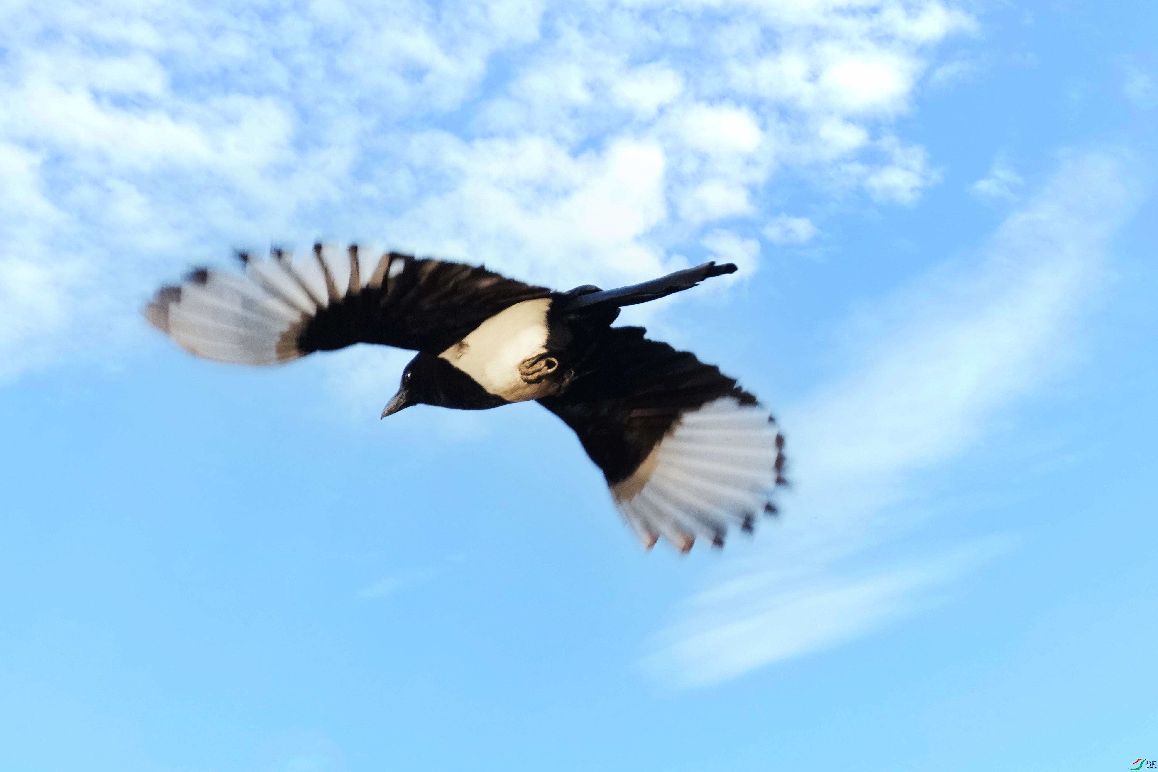 022DSC08660 ����.jpg