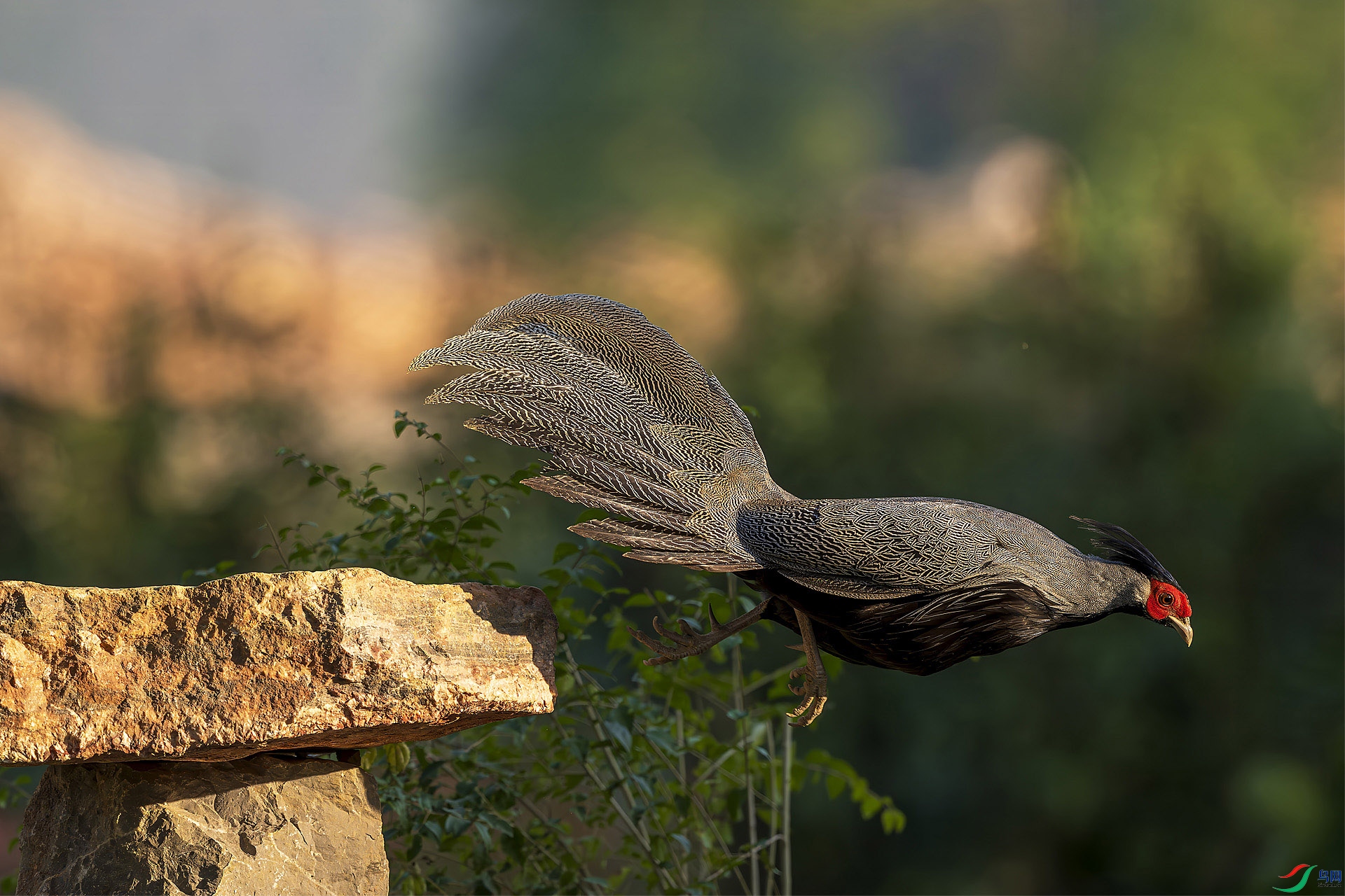 _DSC1725 ���� 3.jpg