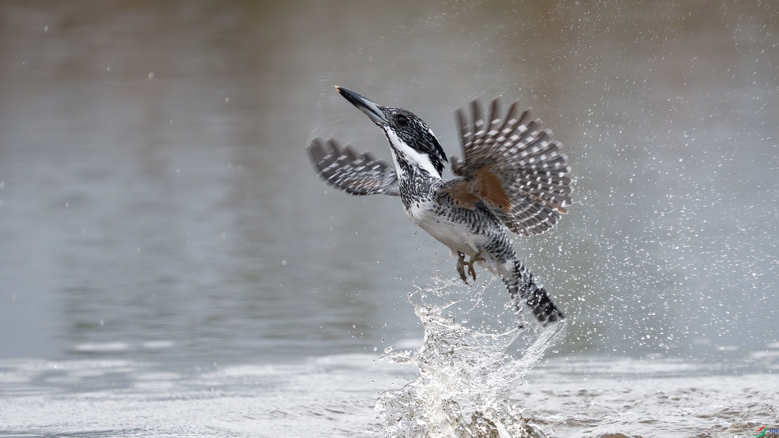 _DSC7188 ����.jpg